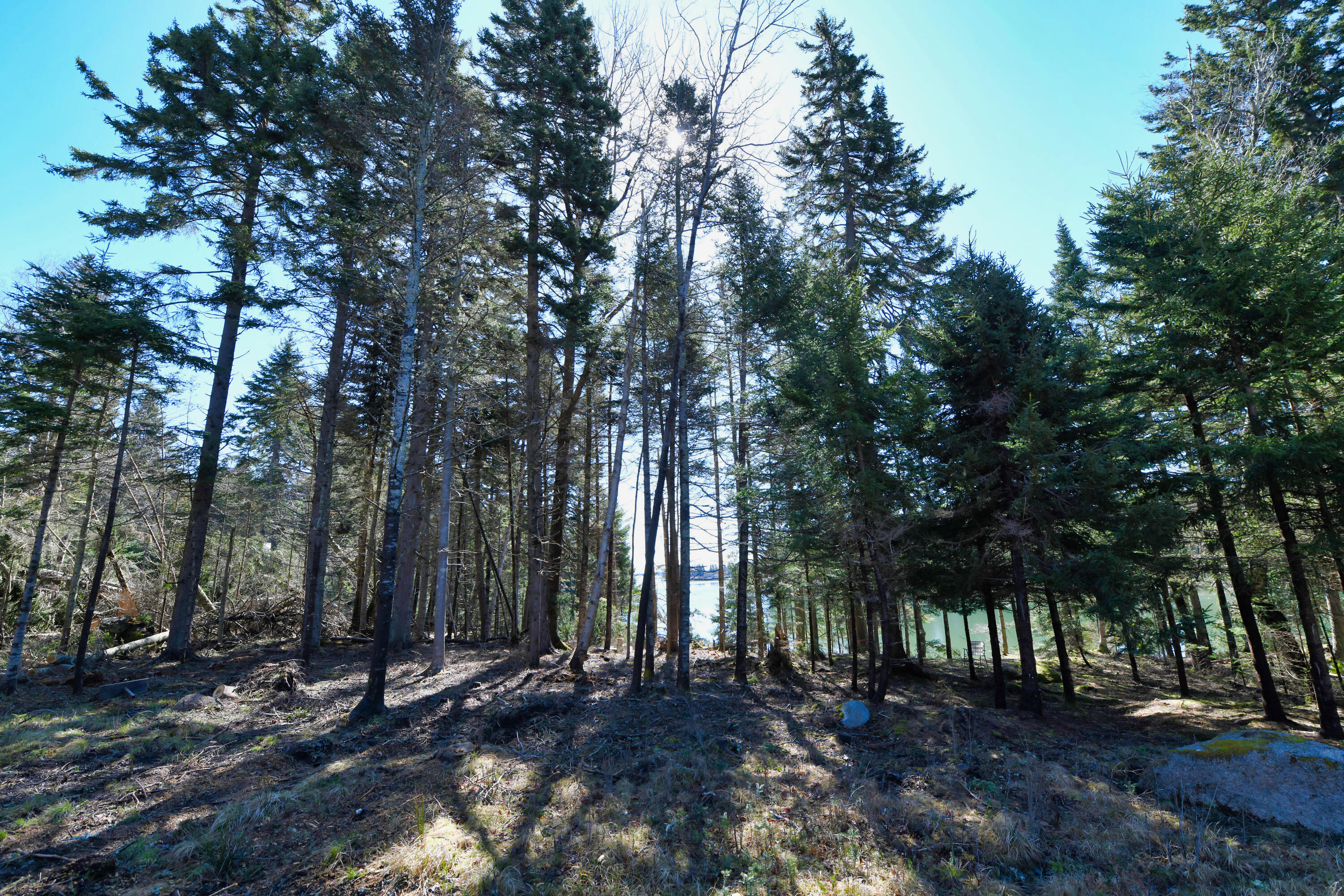 property viewer photo 4