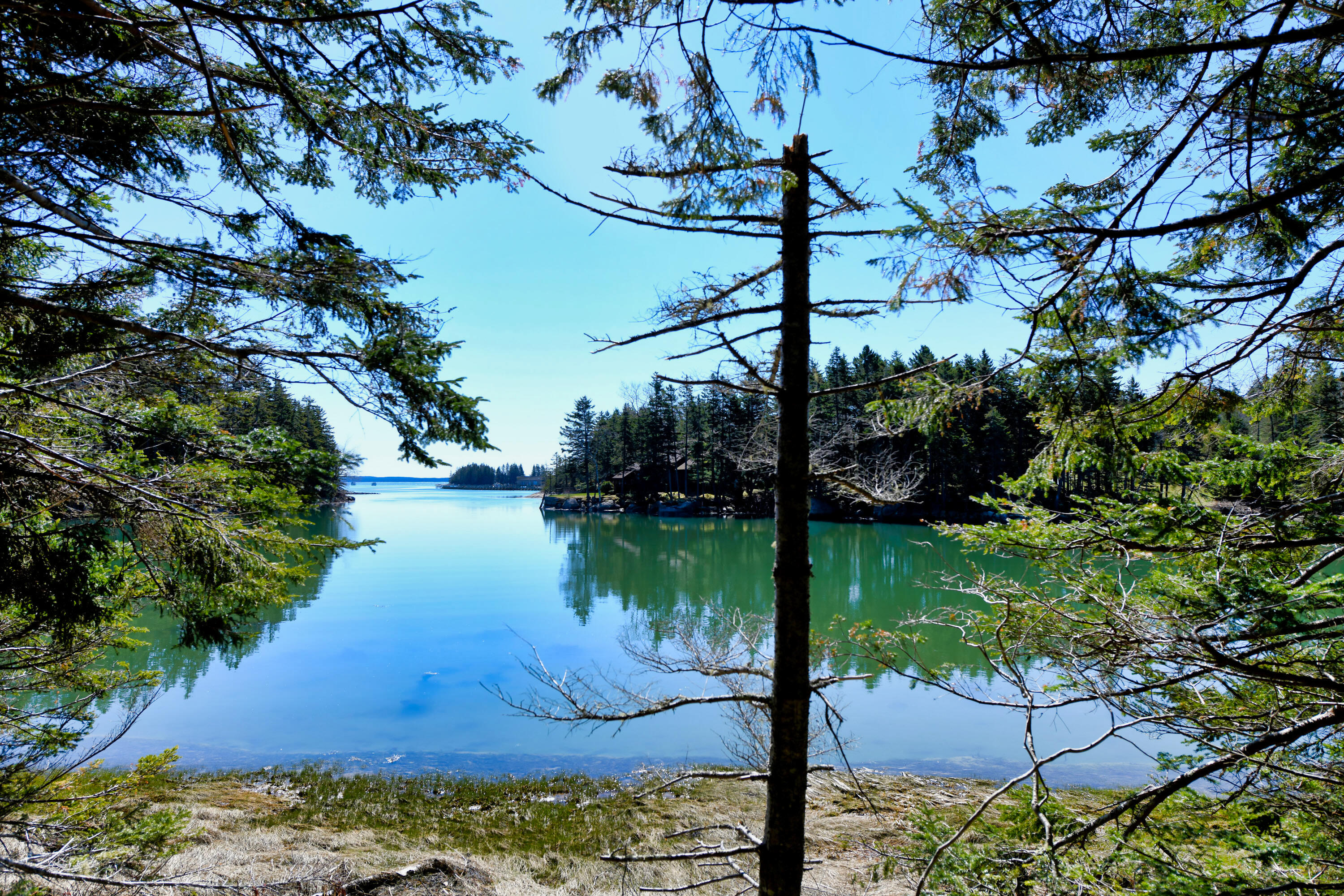 property viewer photo 40