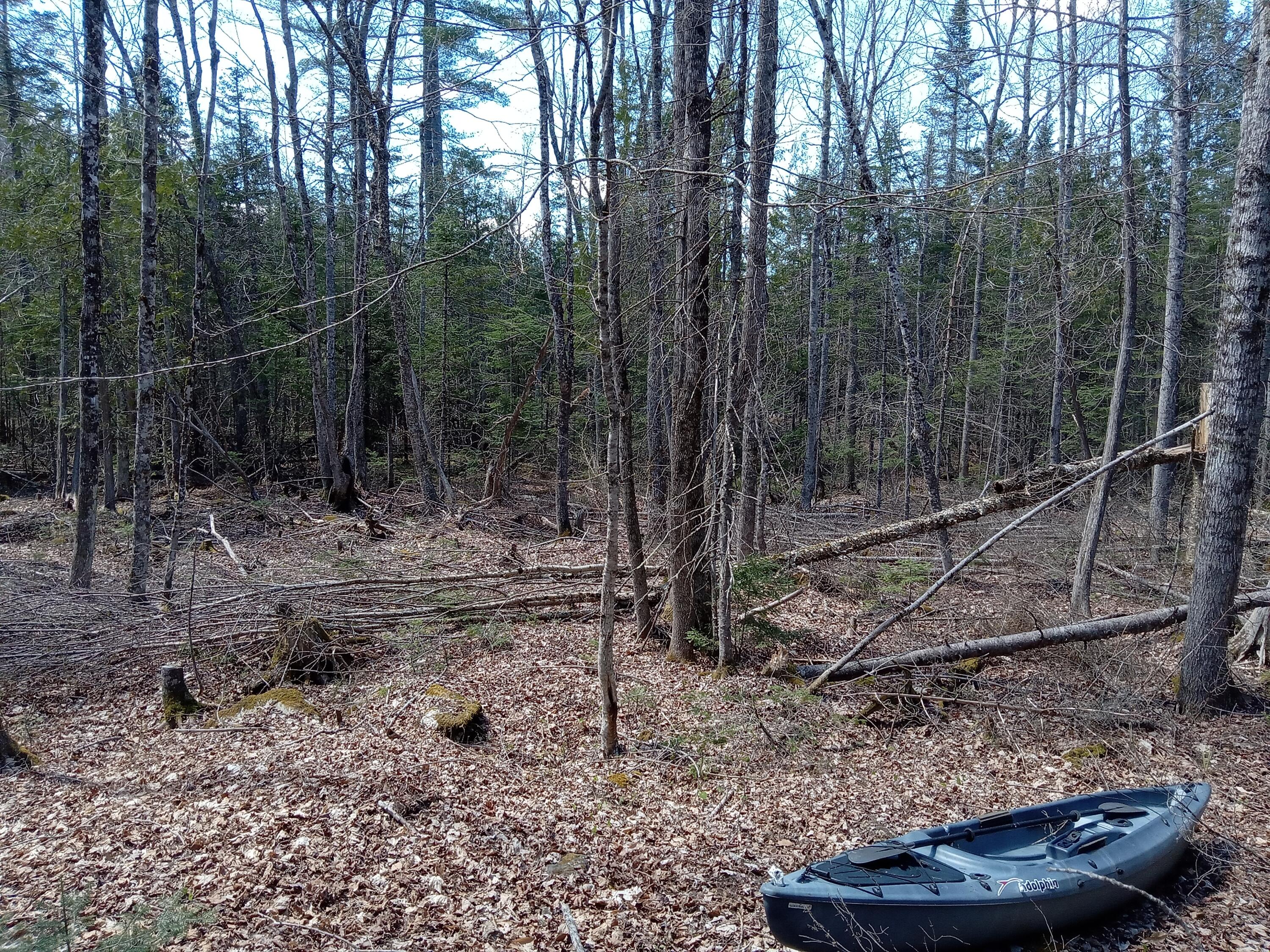 main property photo 11