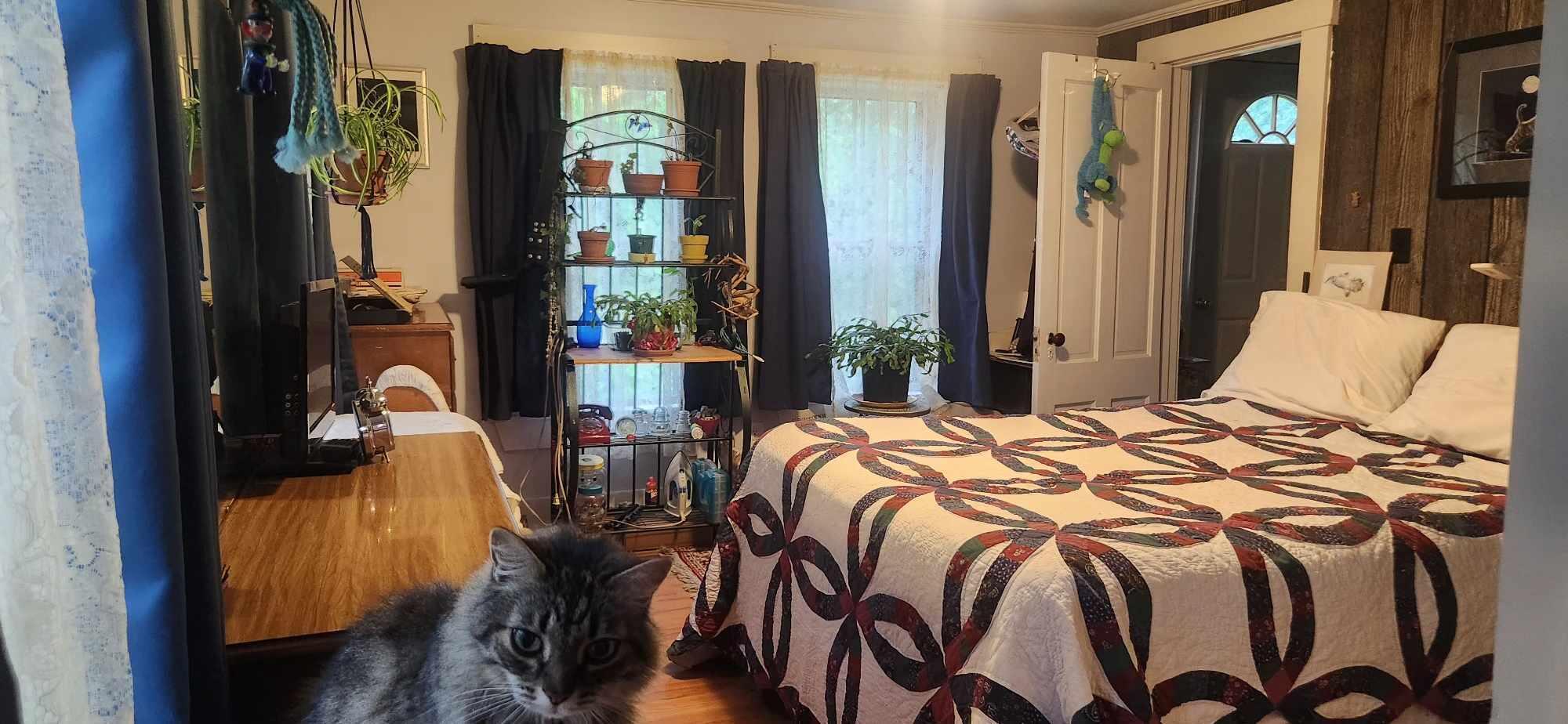 main property photo 12