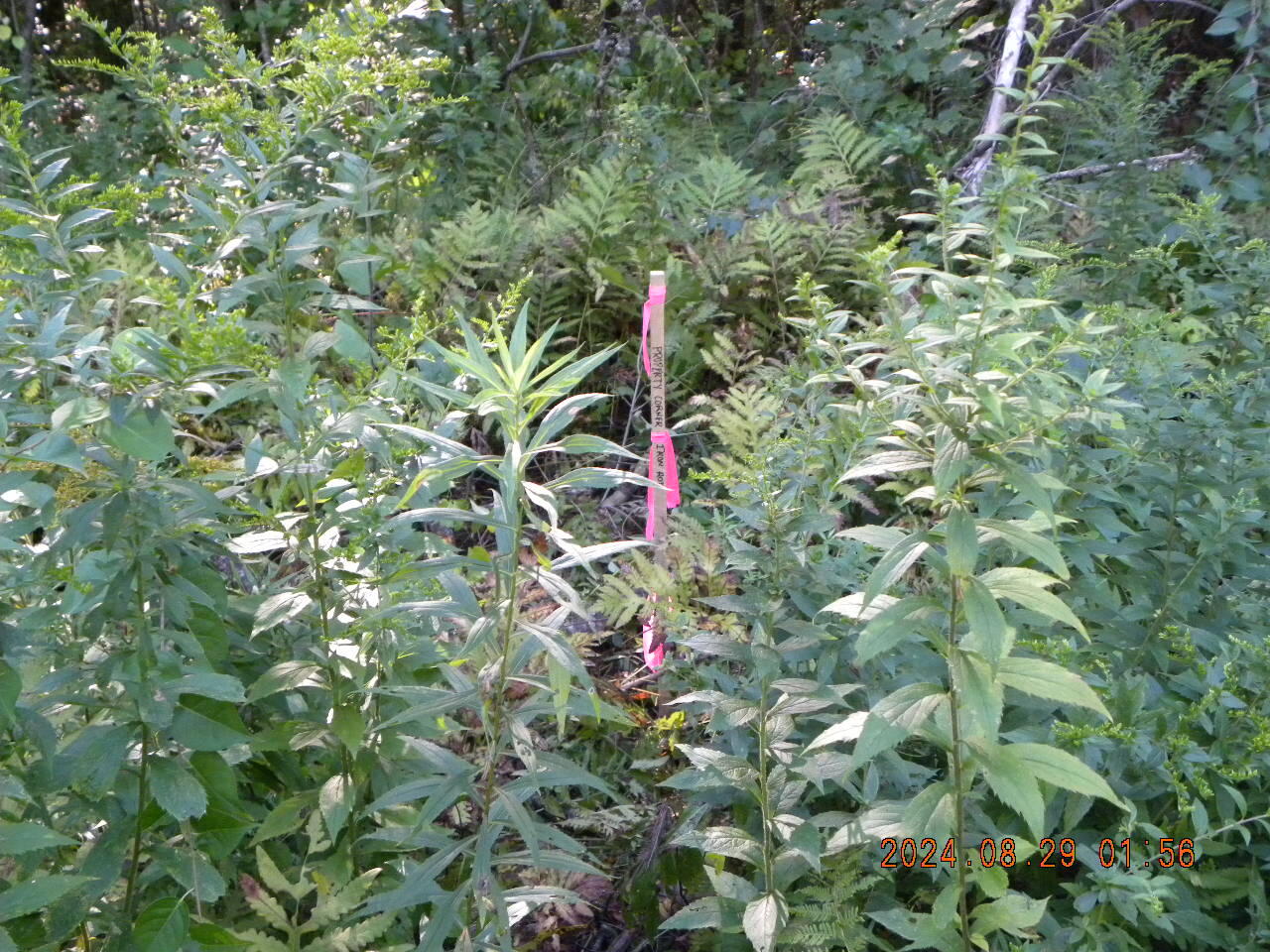 main property photo 10