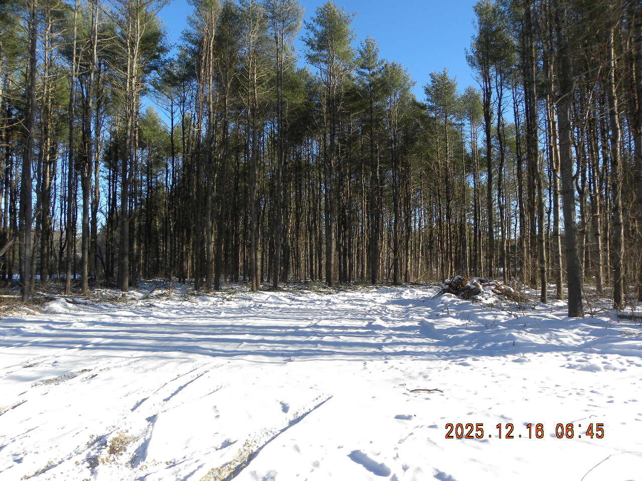 main property photo 17