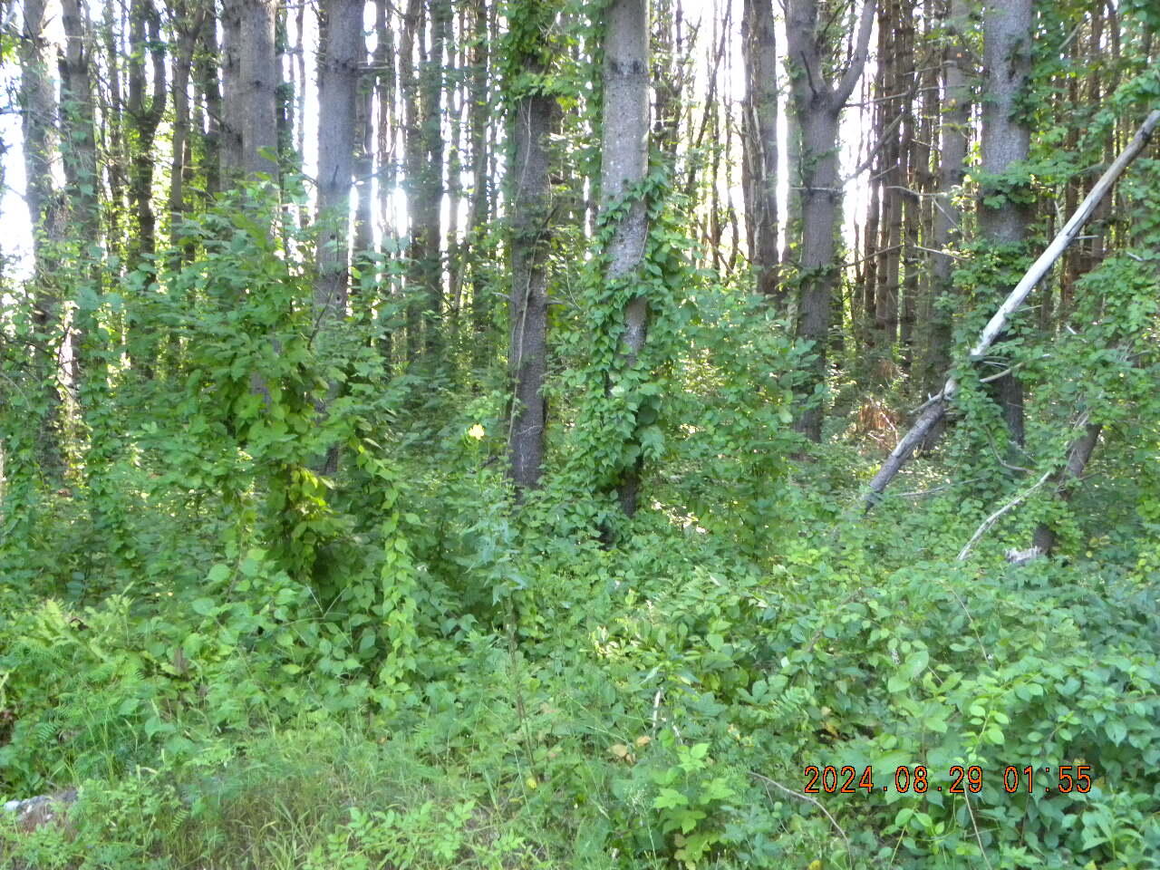 main property photo 8