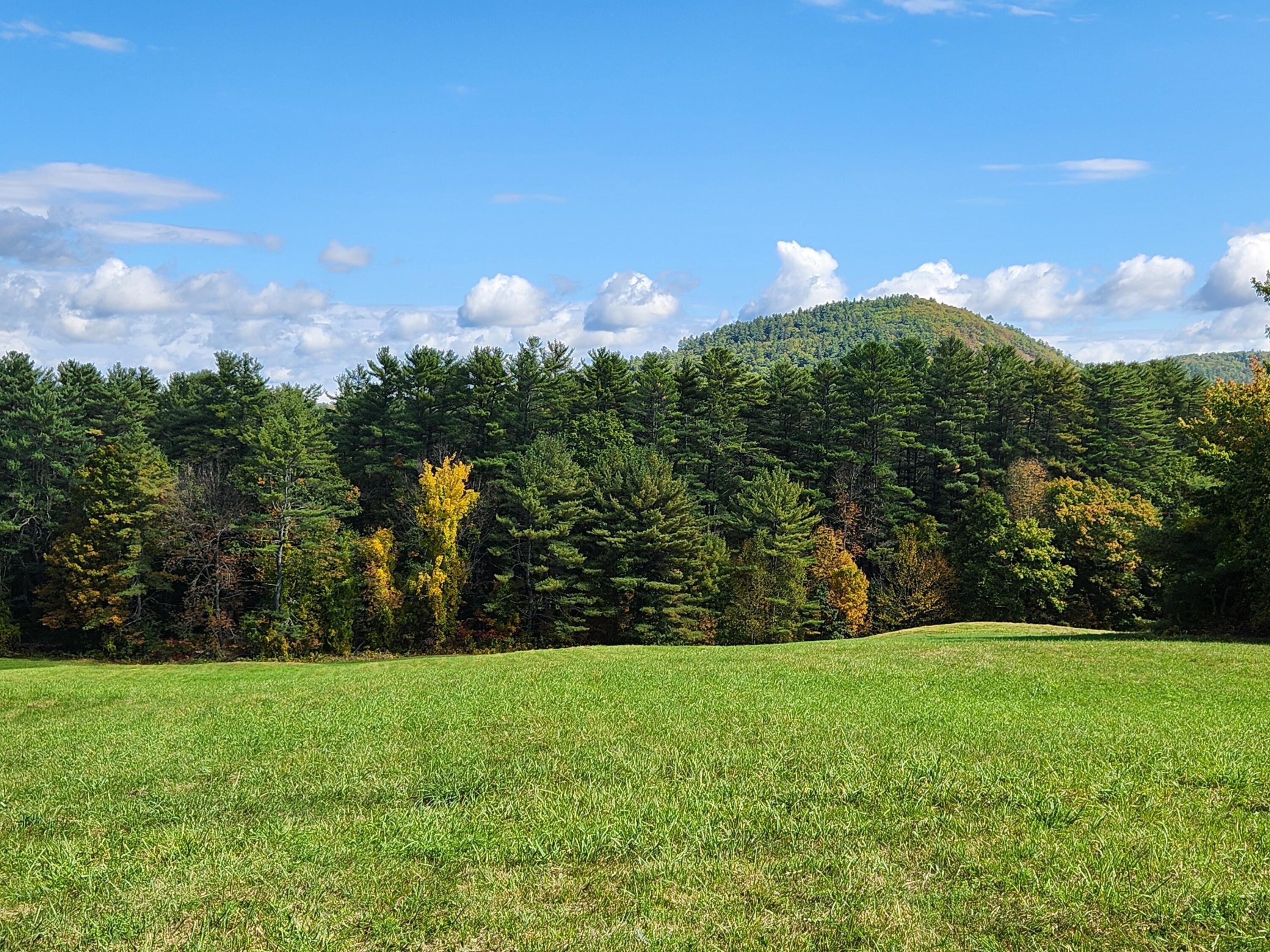 main property photo 39