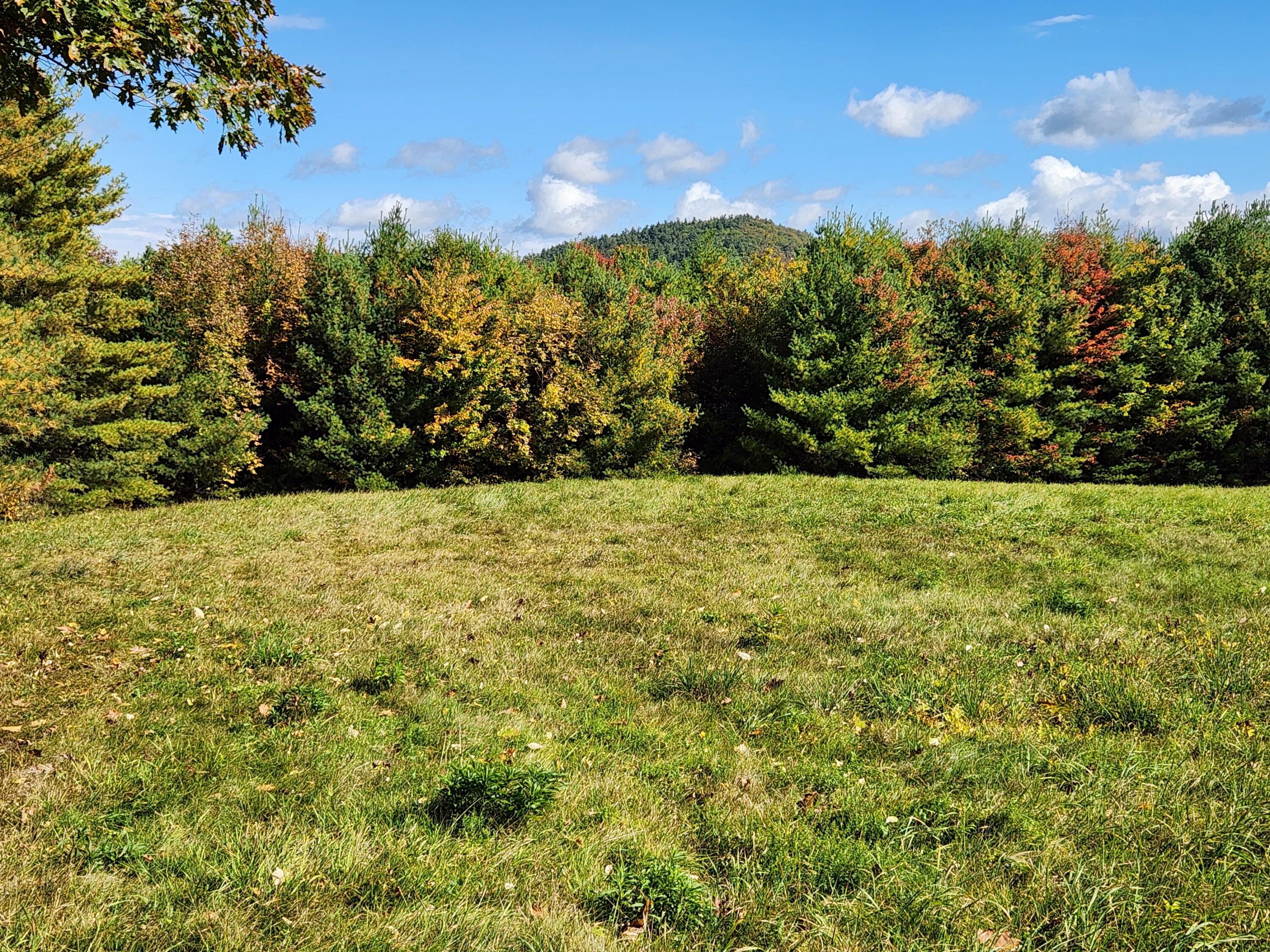 main property photo 60