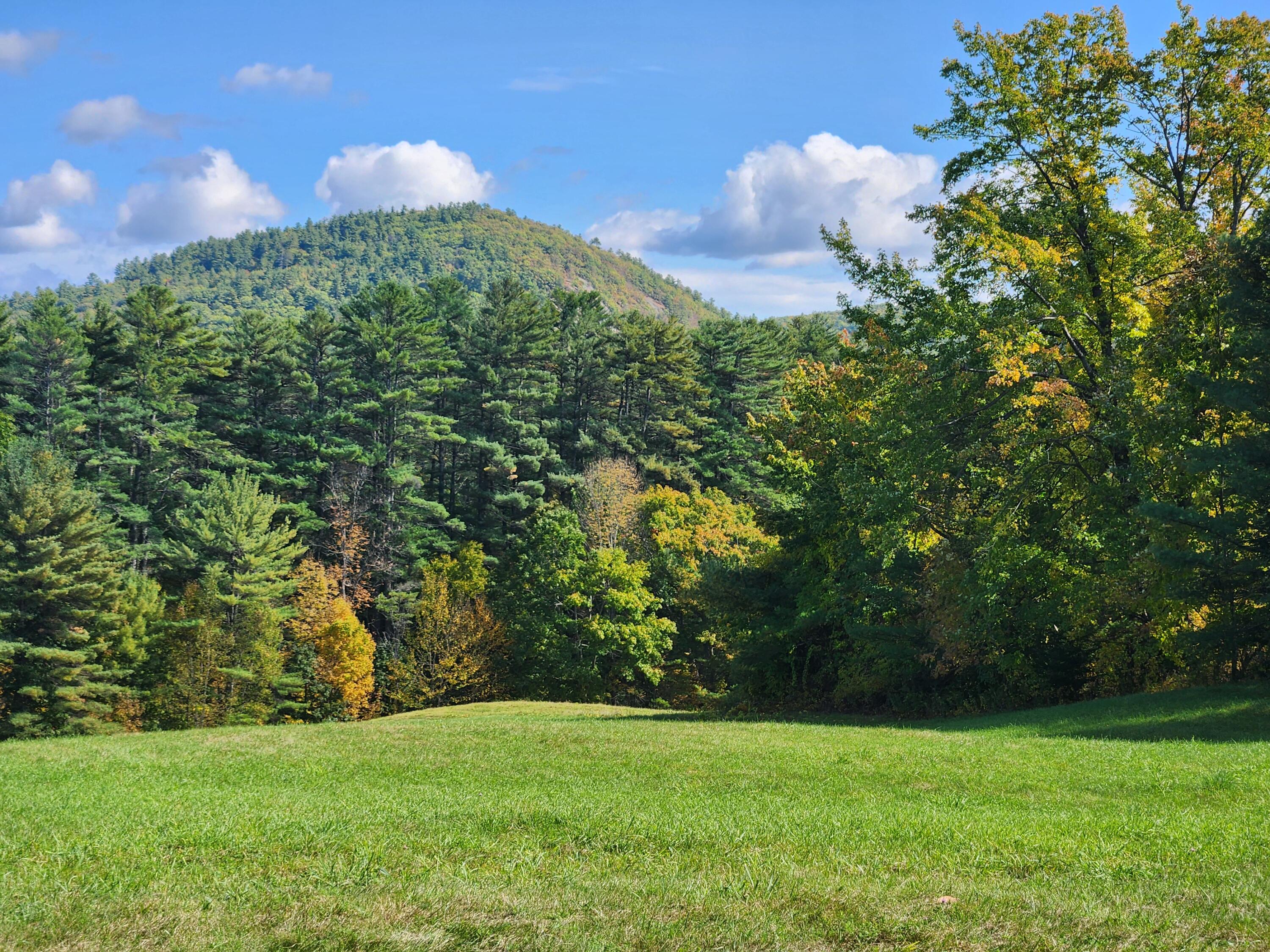 main property photo 64