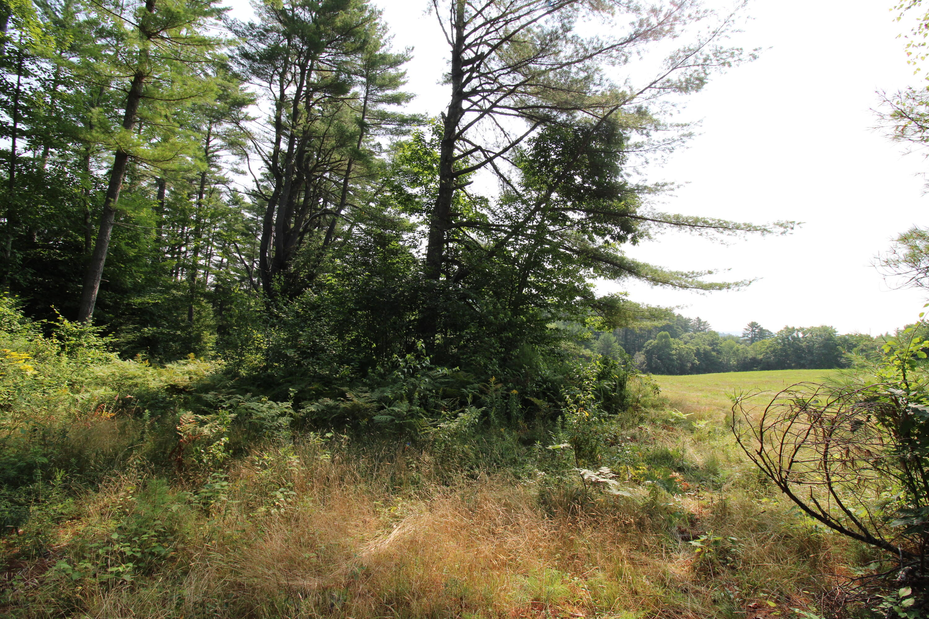 main property photo 67