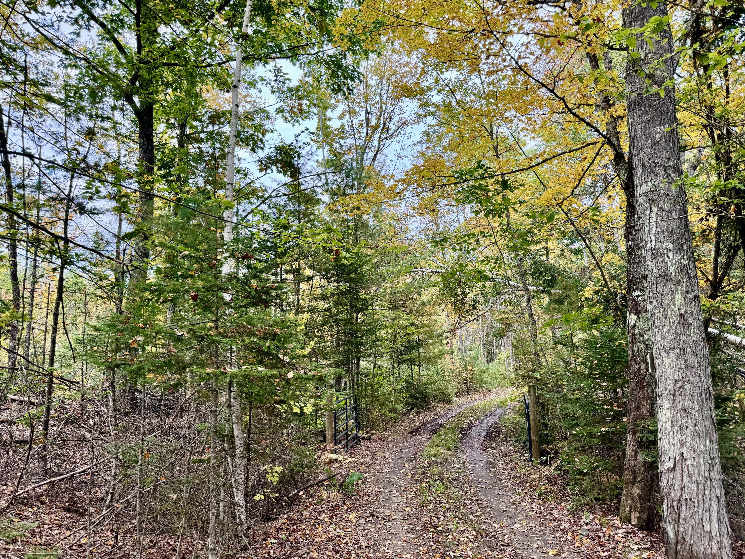 property viewer photo 36