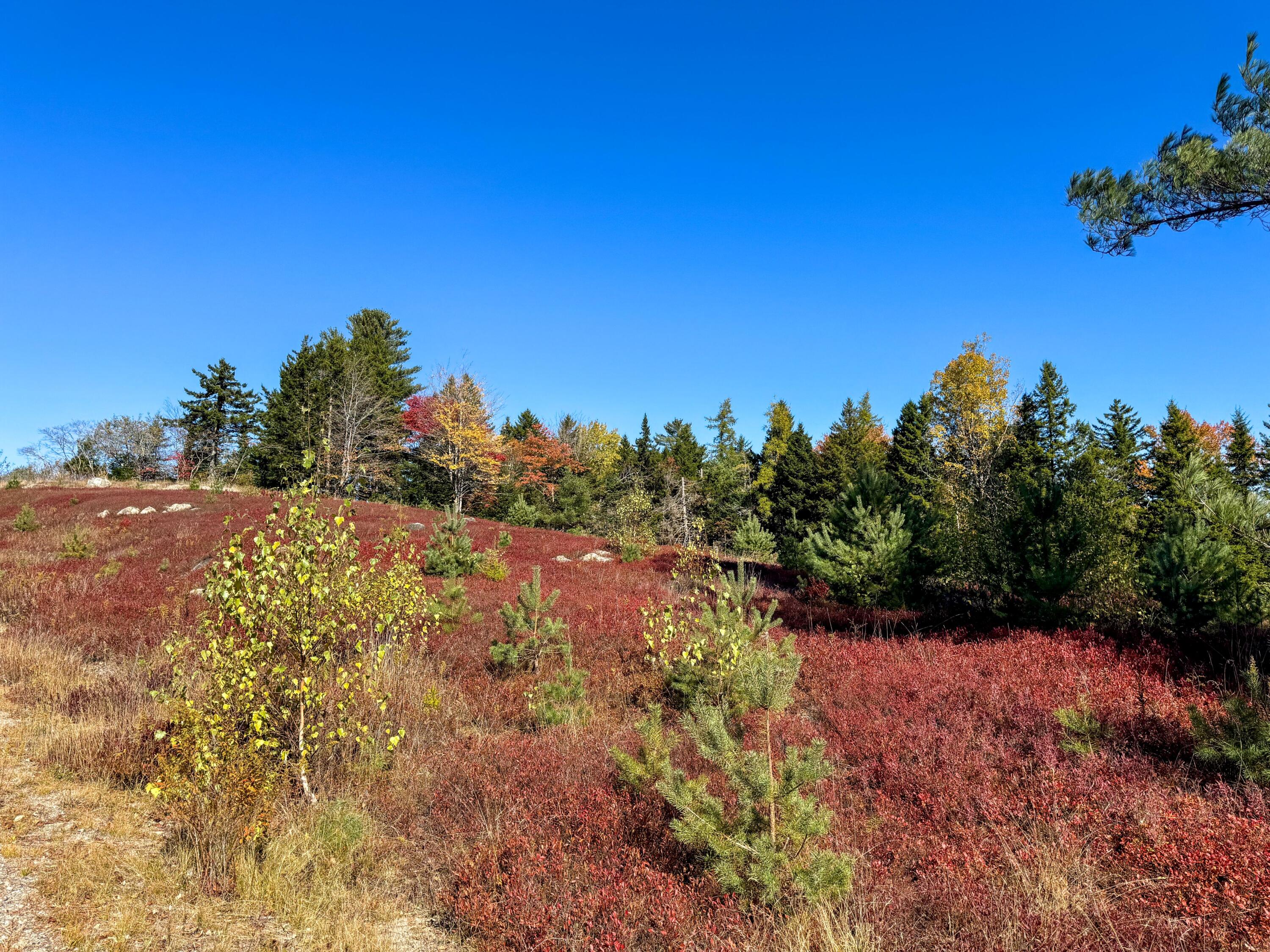 main property photo 34
