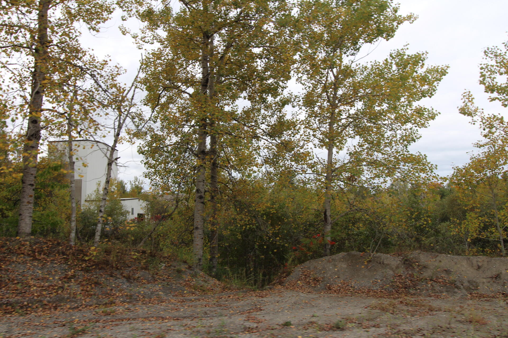 main property photo 31