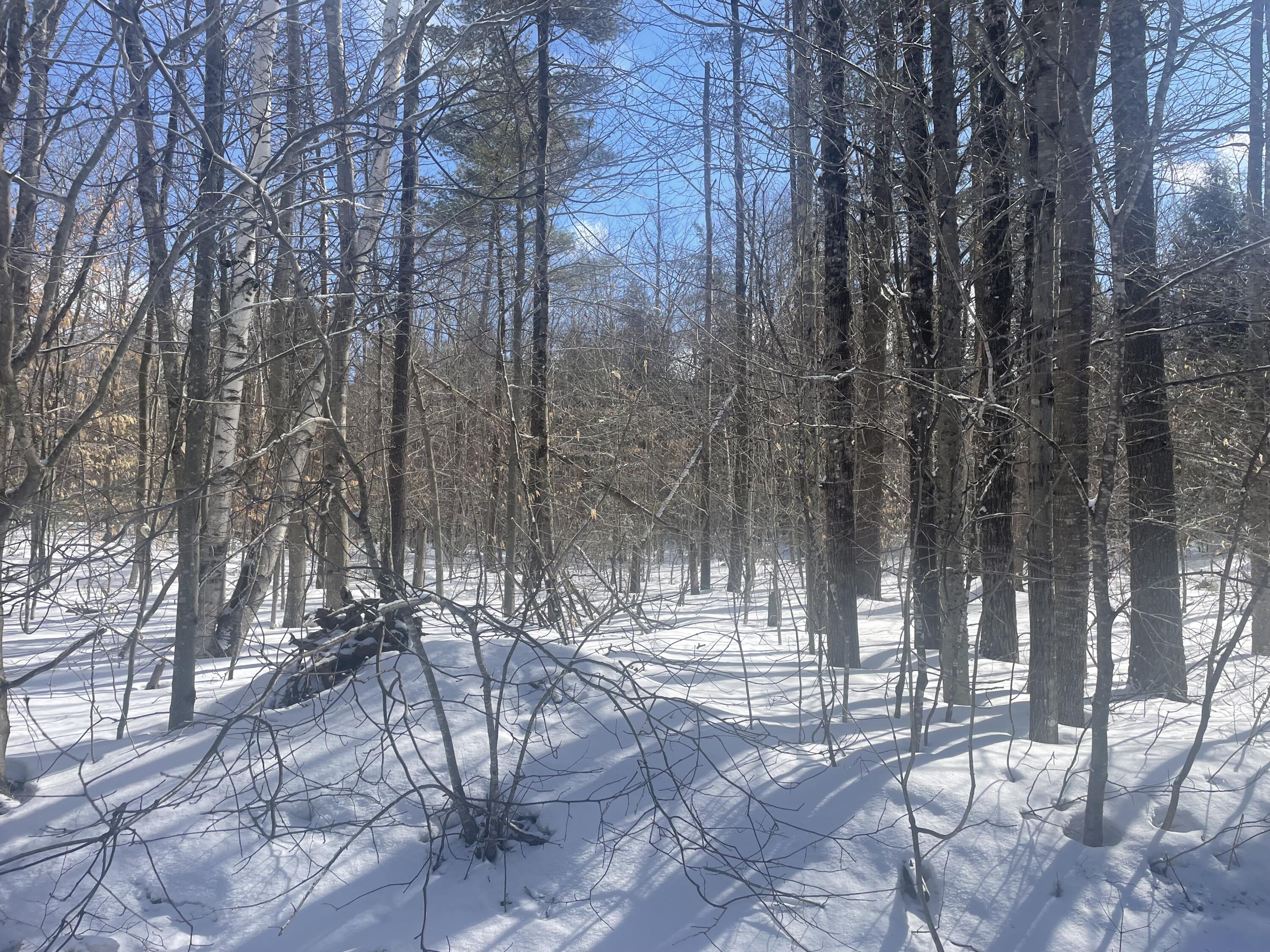 property viewer photo 11