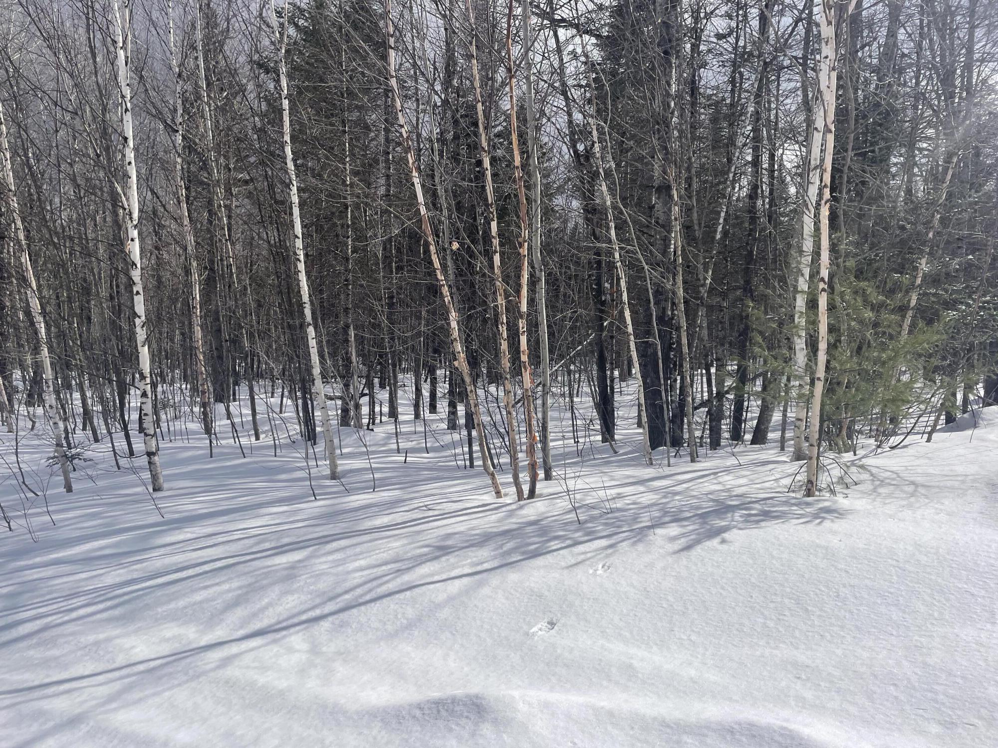 property viewer photo 6