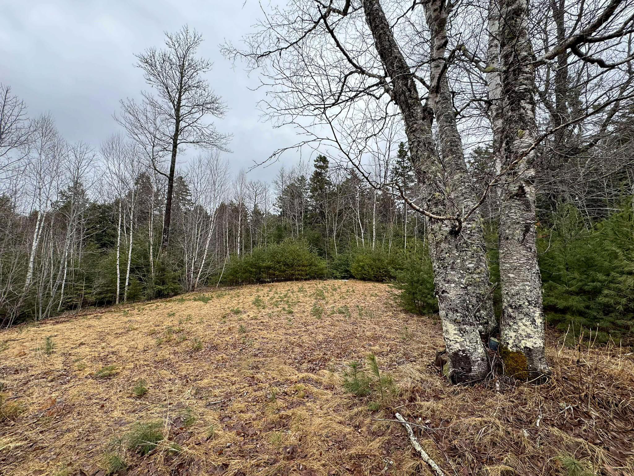 main property photo 20