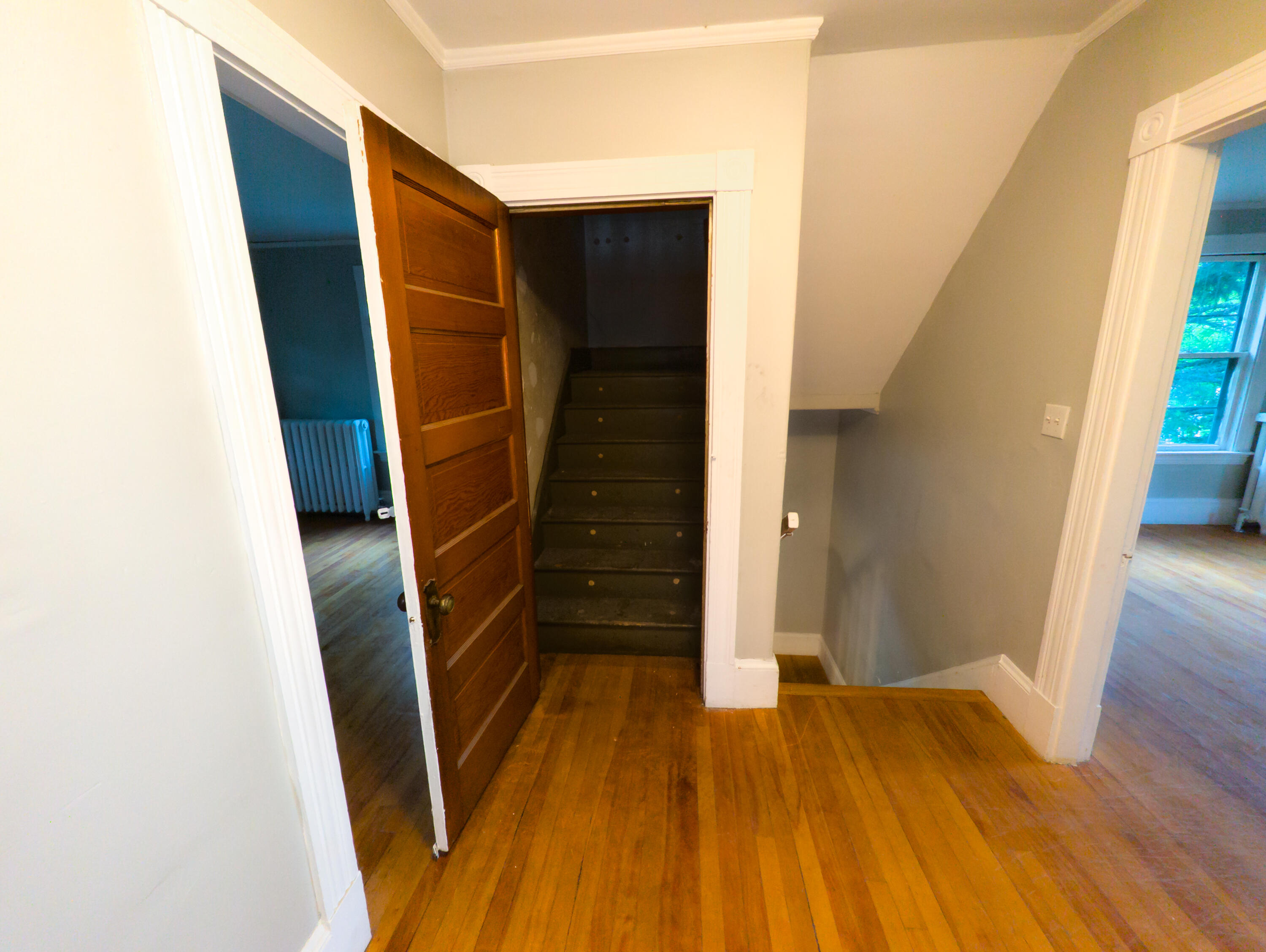 main property photo 53