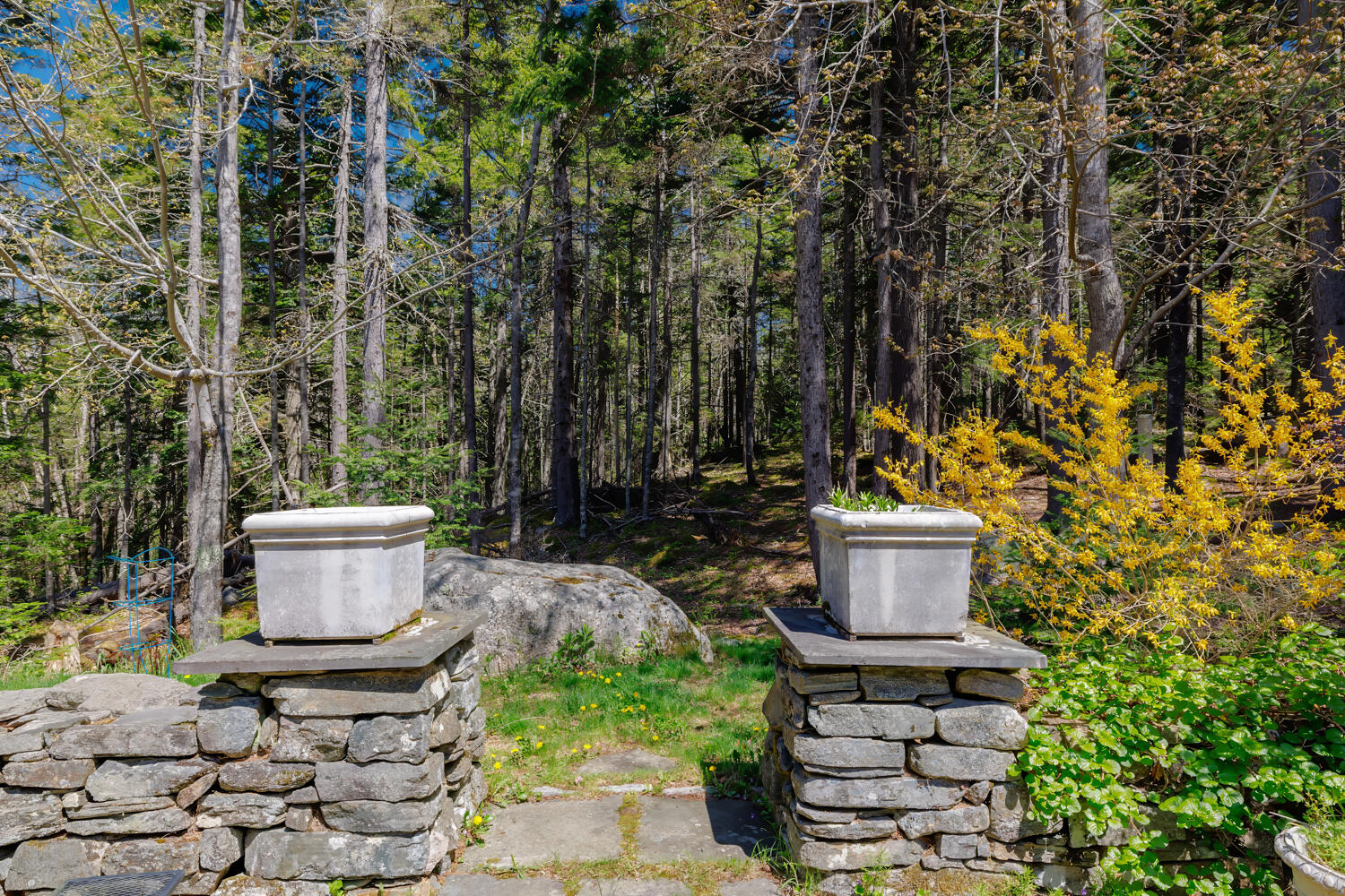 main property photo 48