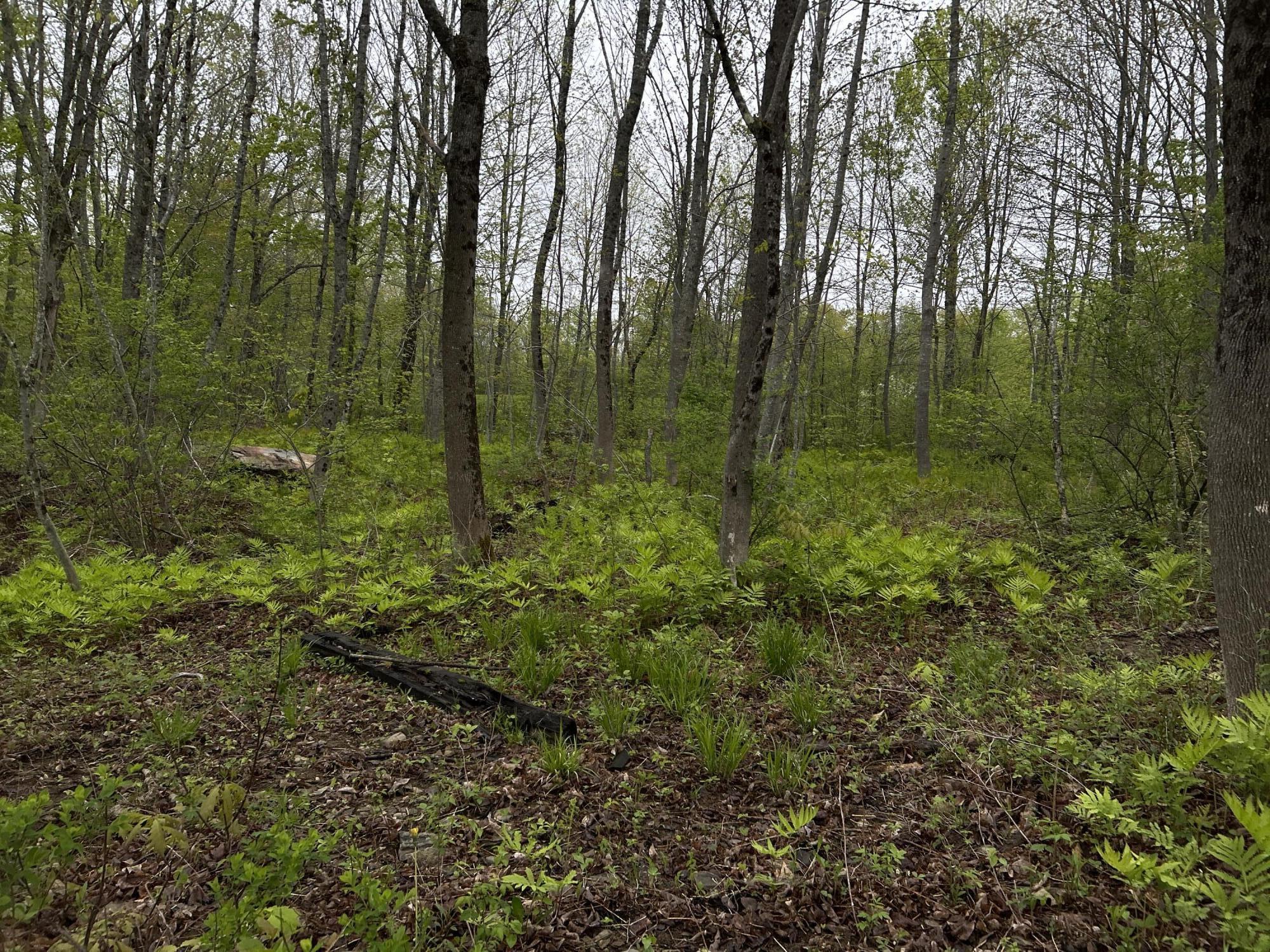 main property photo 21