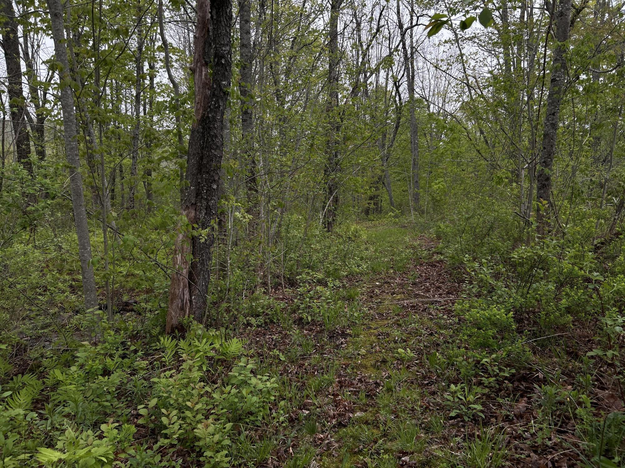 main property photo 22