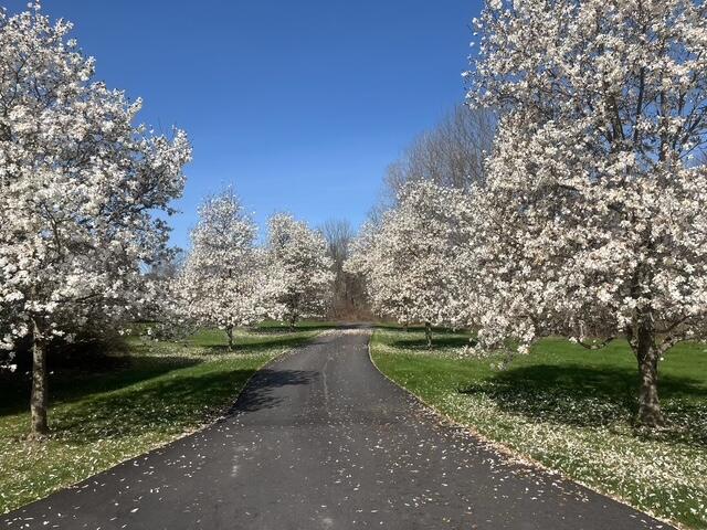 property viewer photo 64