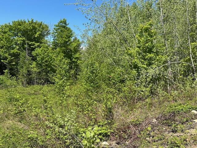 property viewer photo 2
