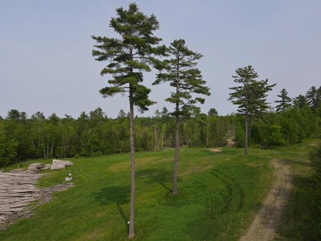 property viewer photo 7