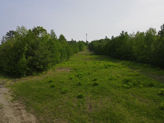 property viewer photo 9