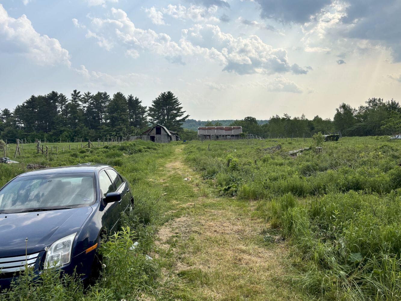 main property photo 13