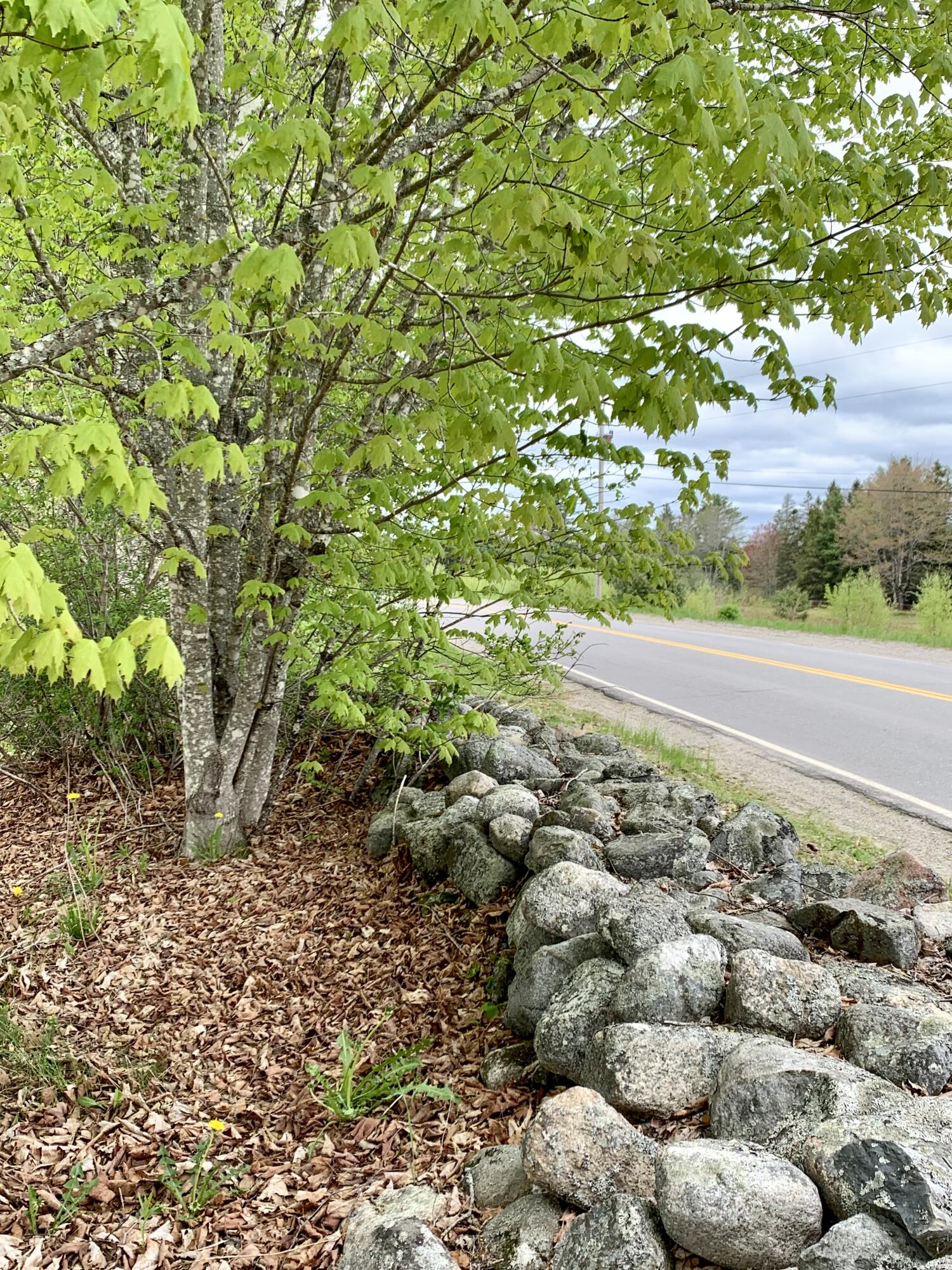 property viewer photo 13