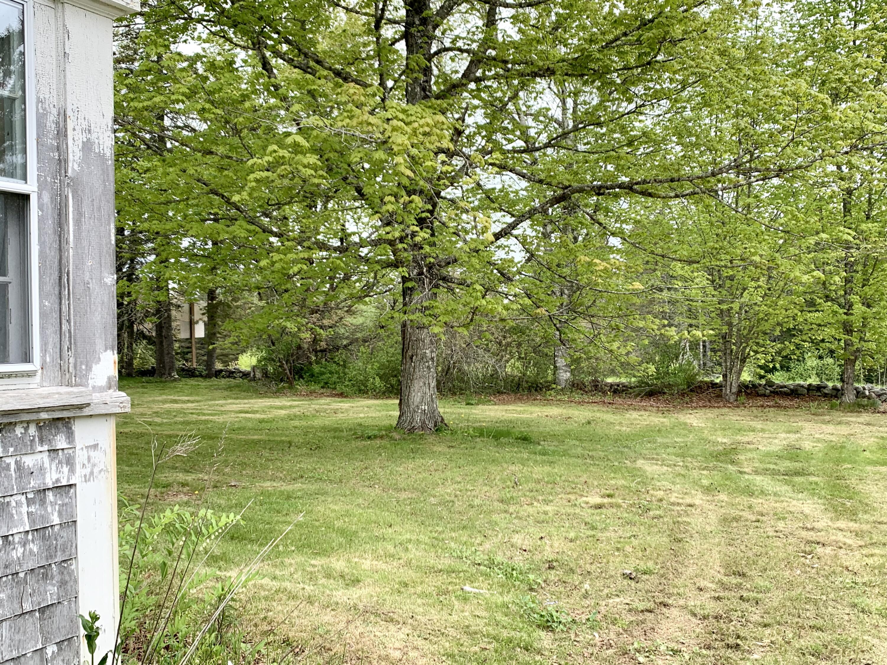 property viewer photo 14