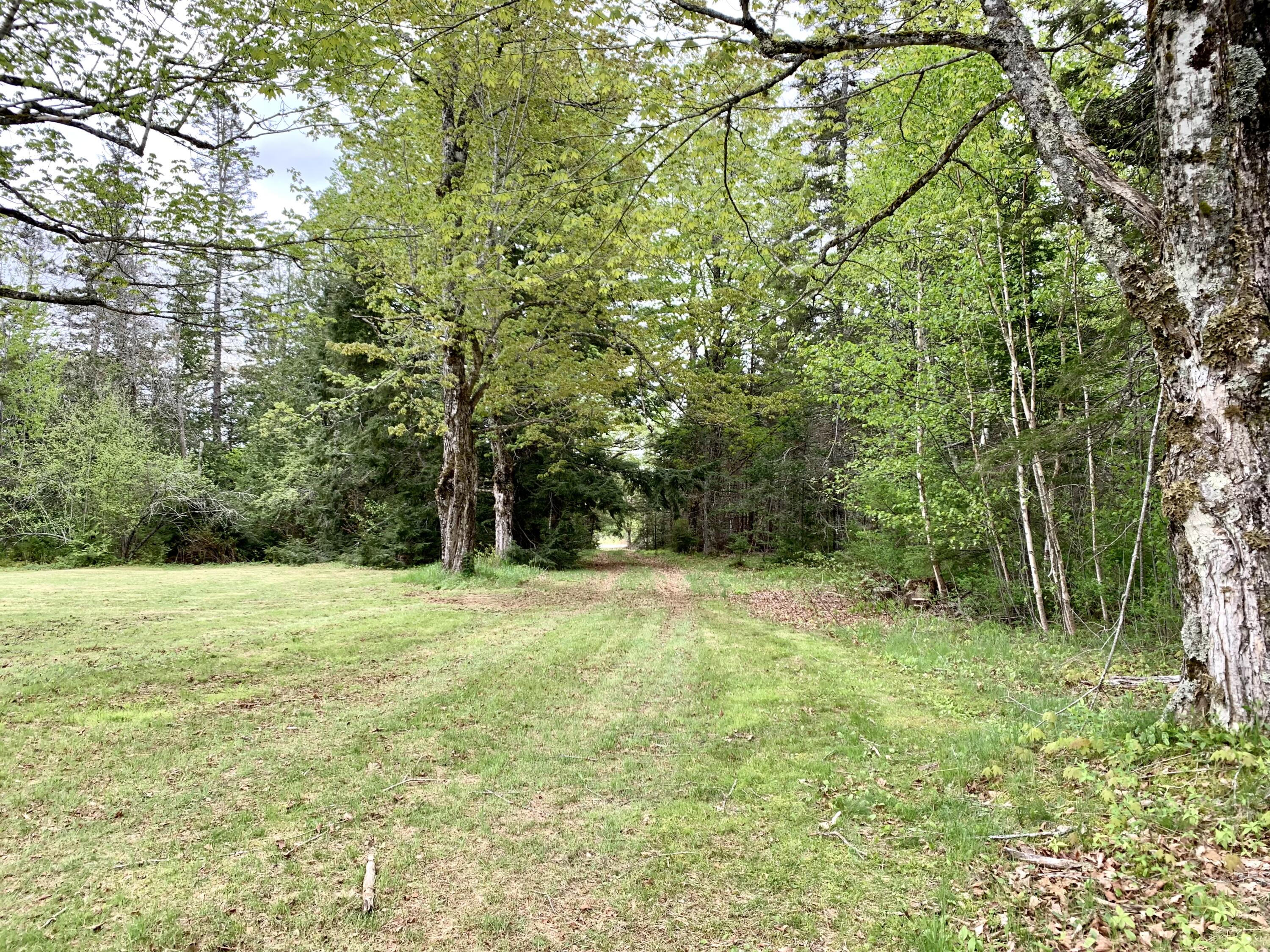 property viewer photo 15