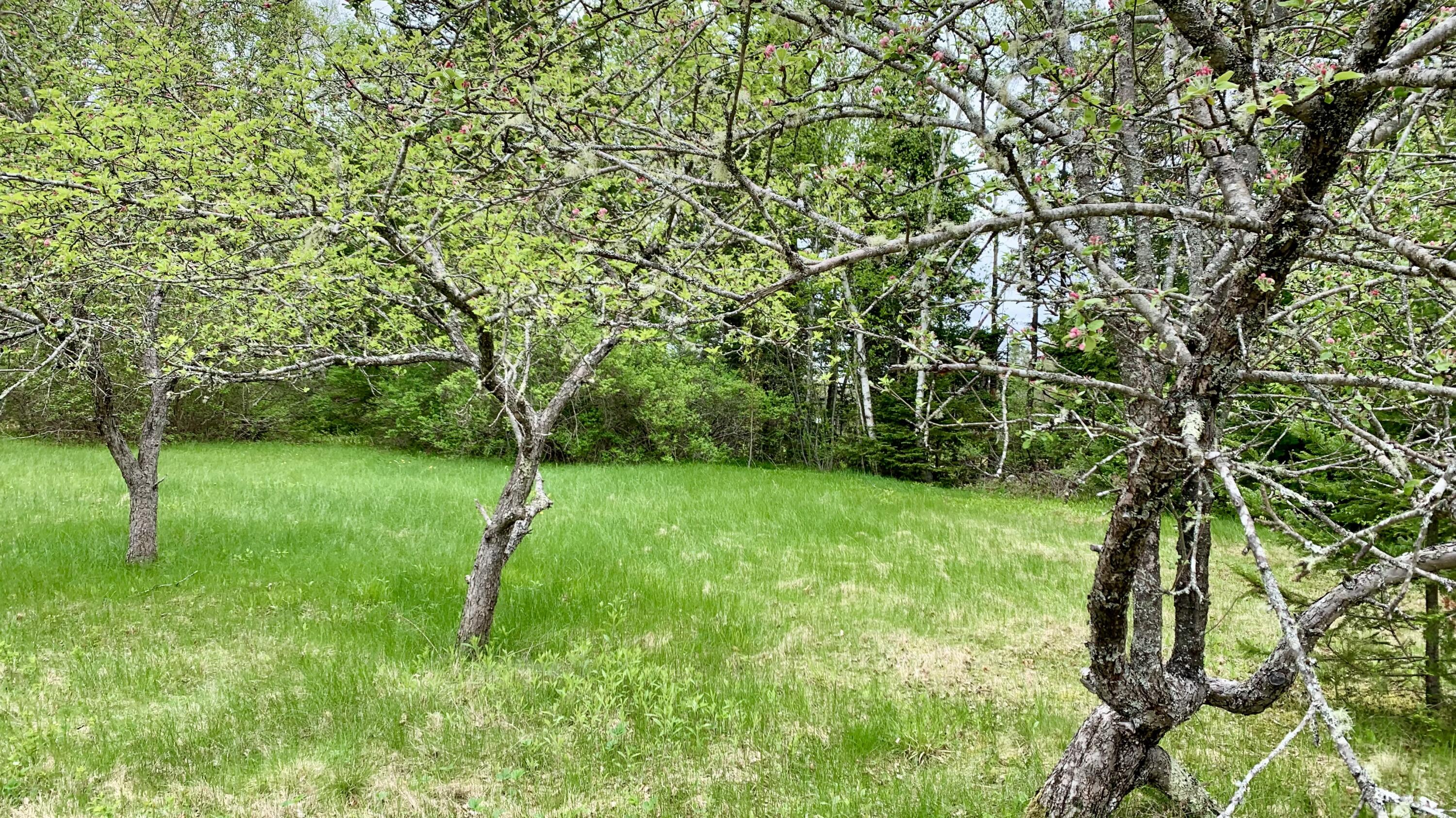 property viewer photo 5