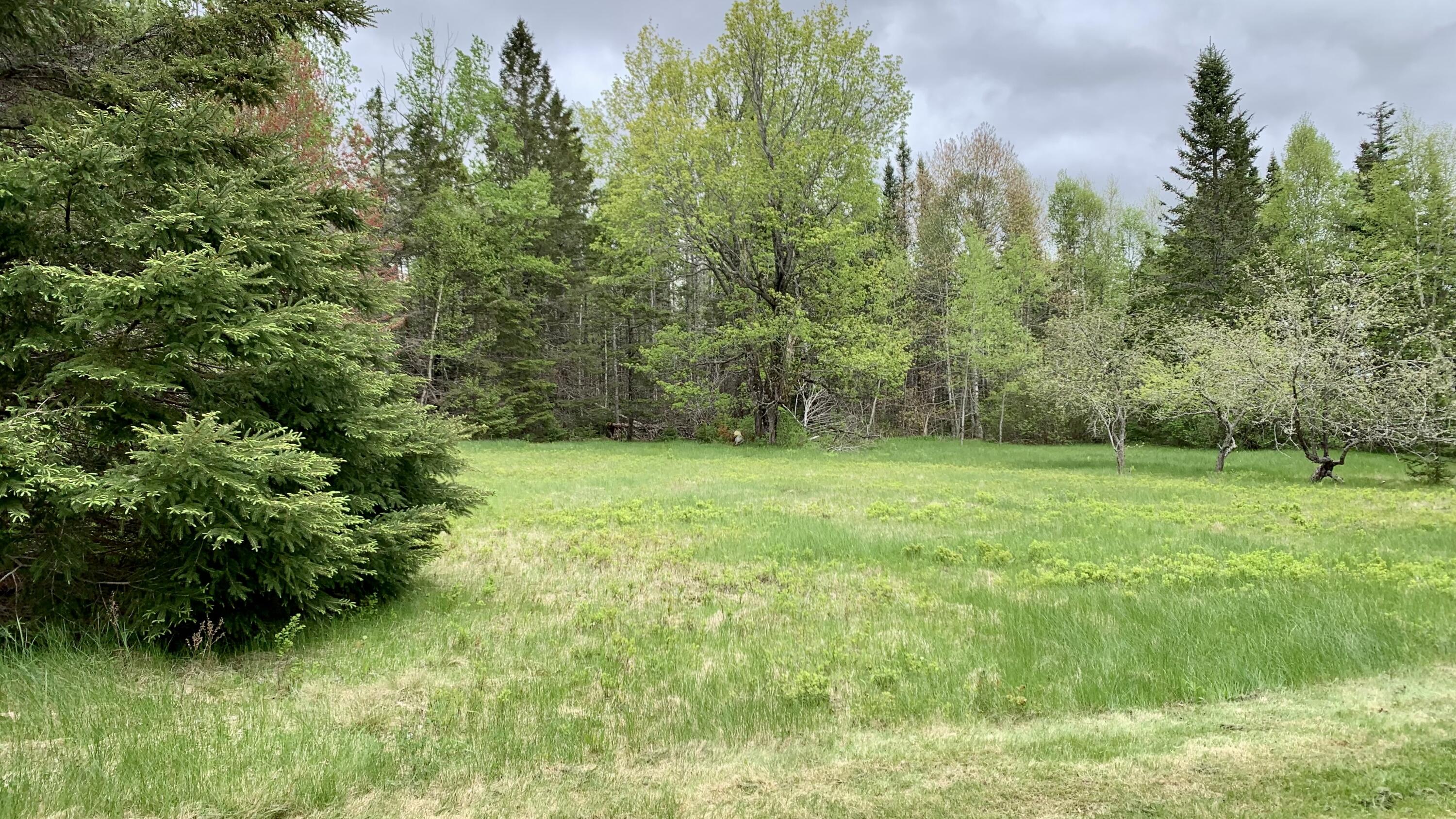 property viewer photo 6