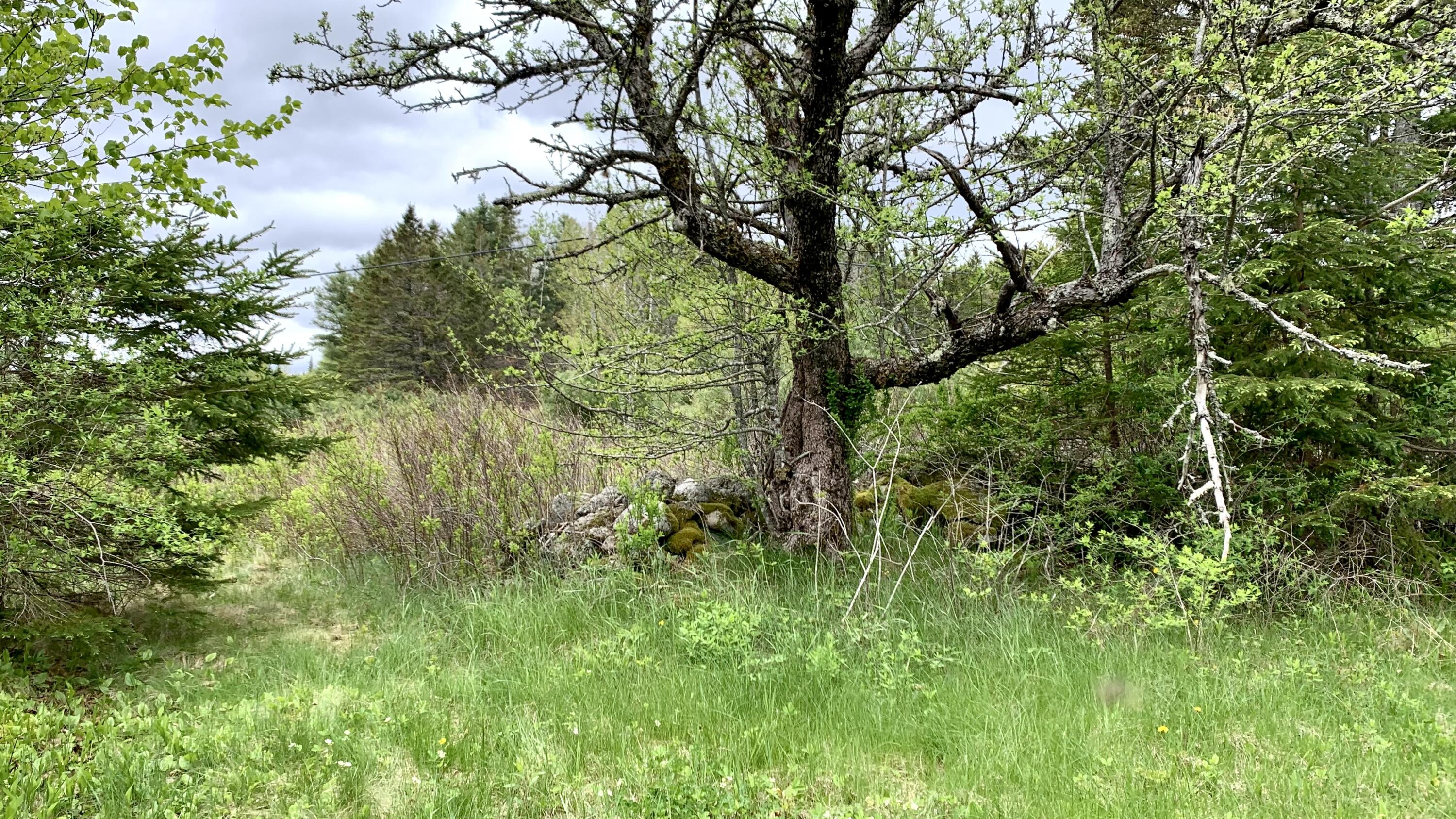 property viewer photo 7