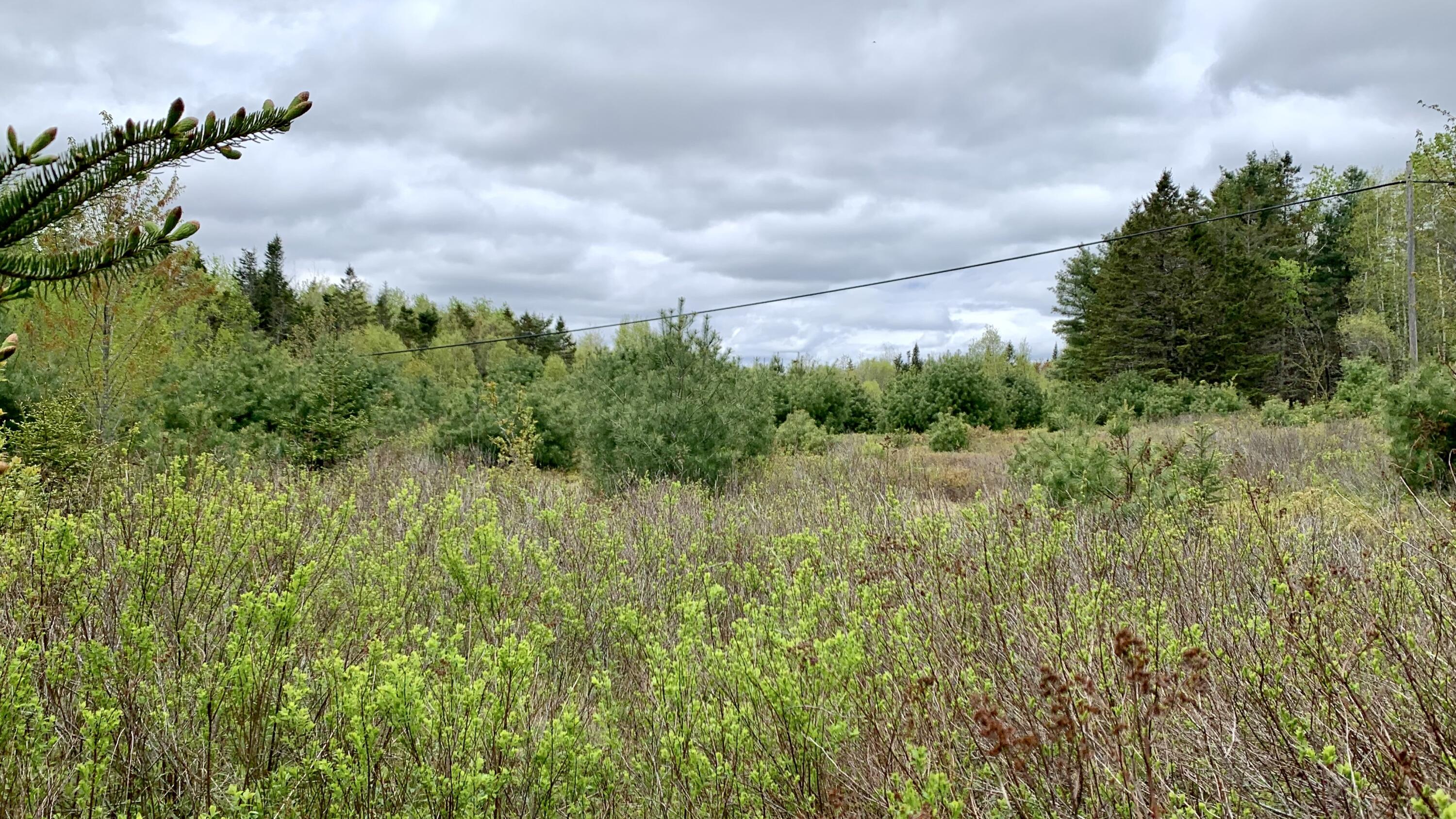 property viewer photo 8