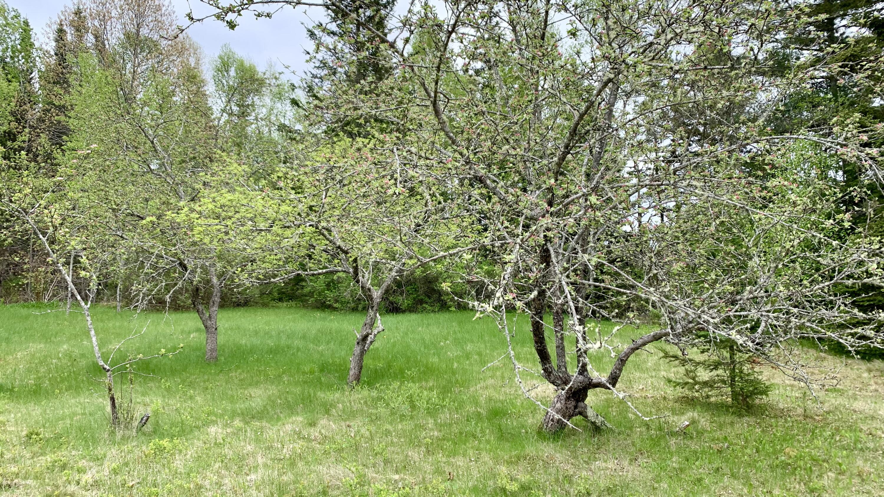 property viewer photo 80
