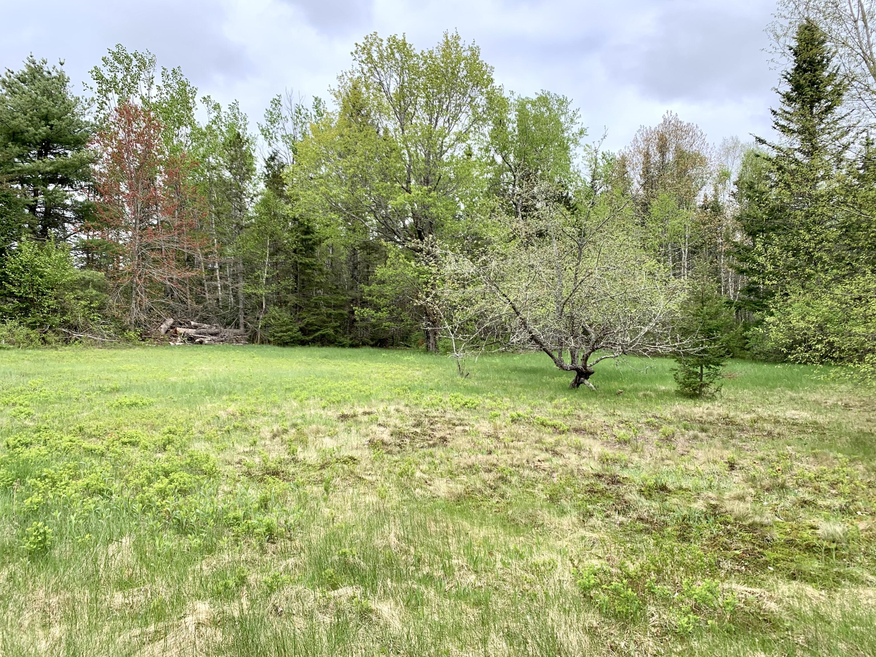 property viewer photo 81