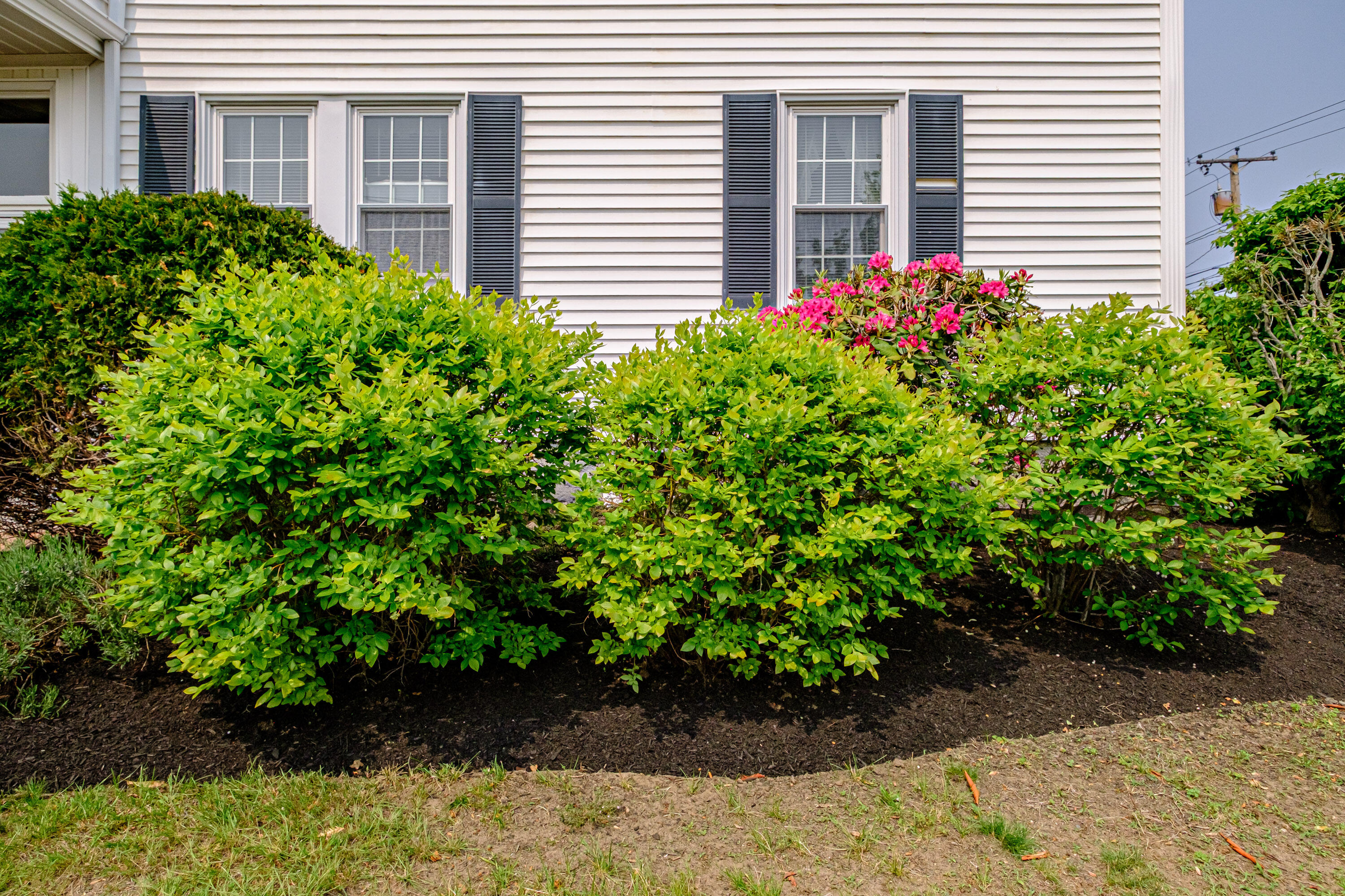 main property photo 153