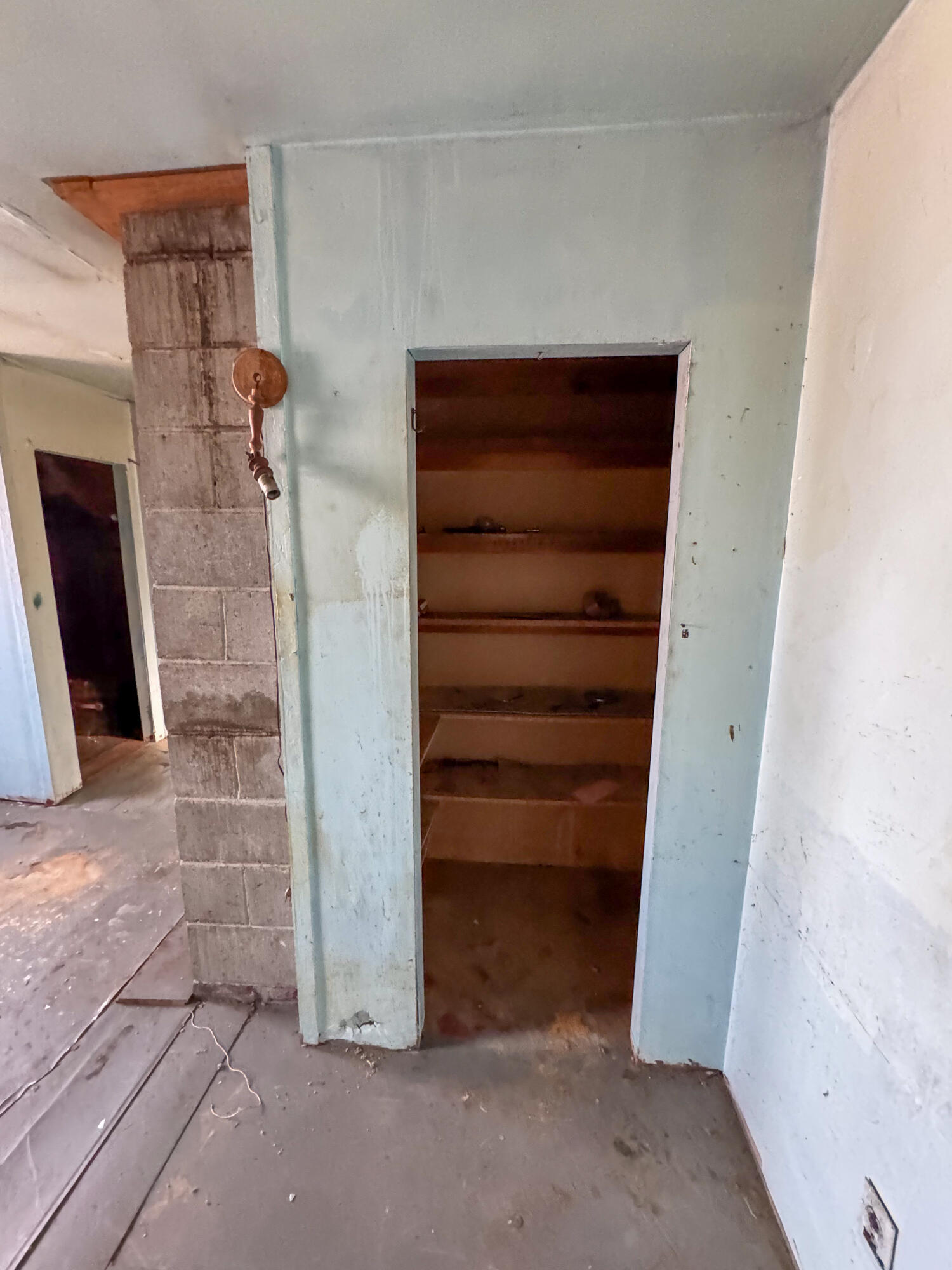main property photo 49