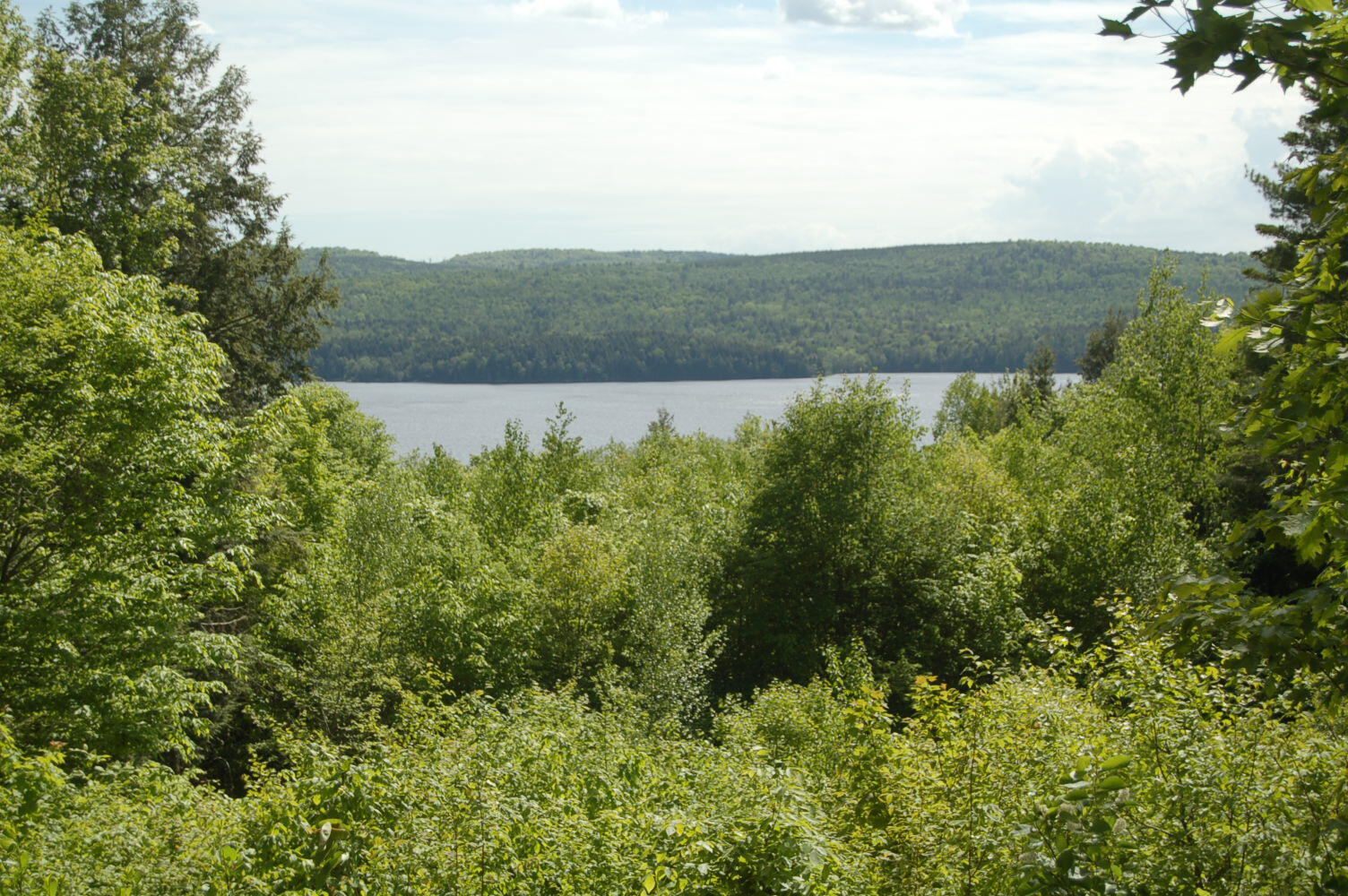 property viewer photo 14