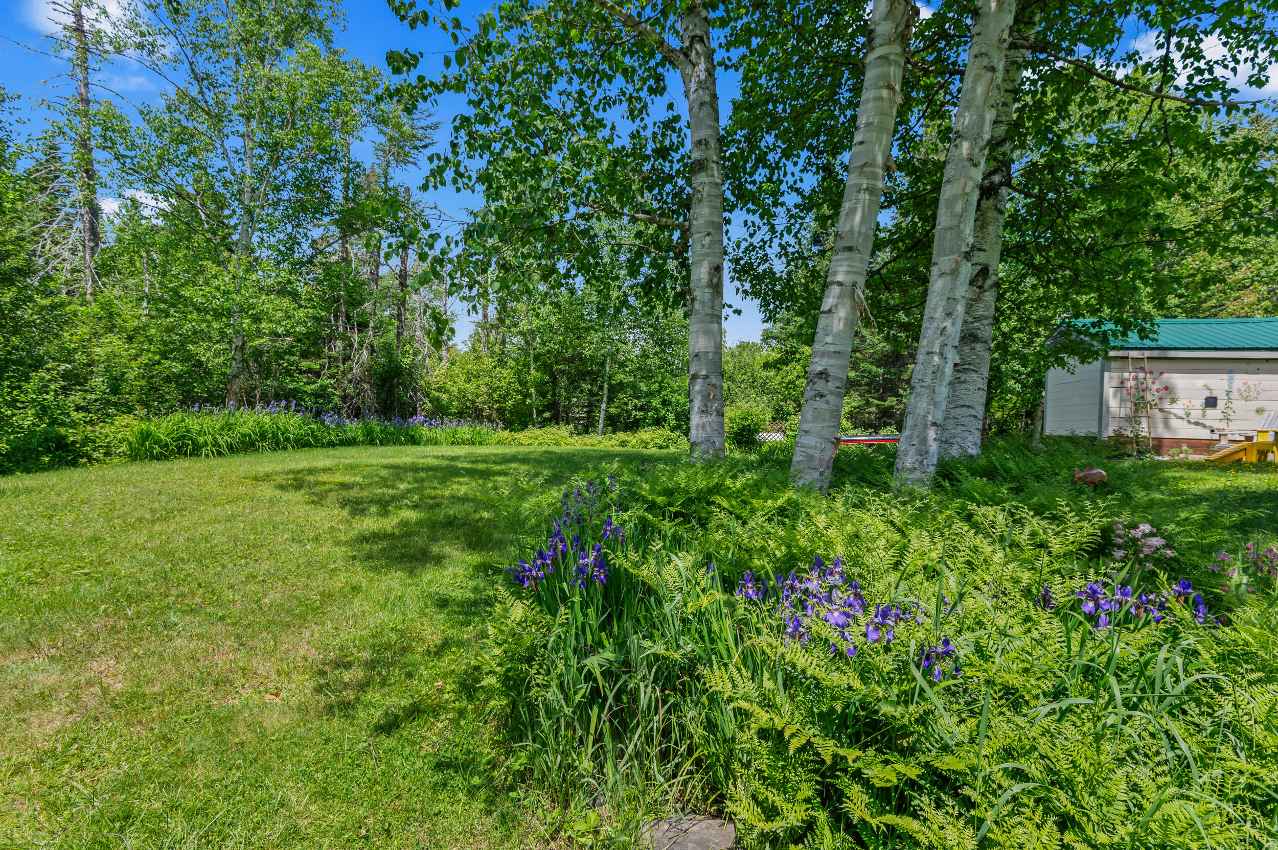 main property photo 5
