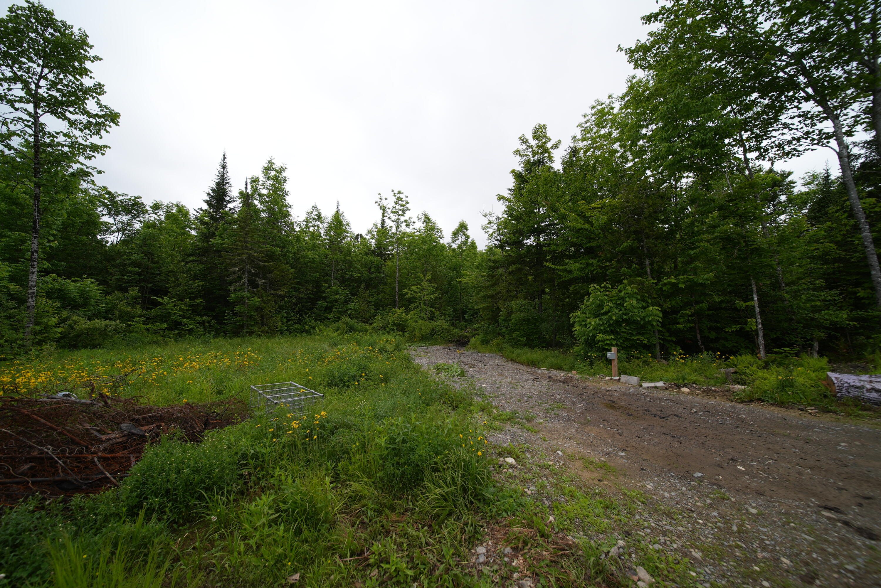 main property photo 67