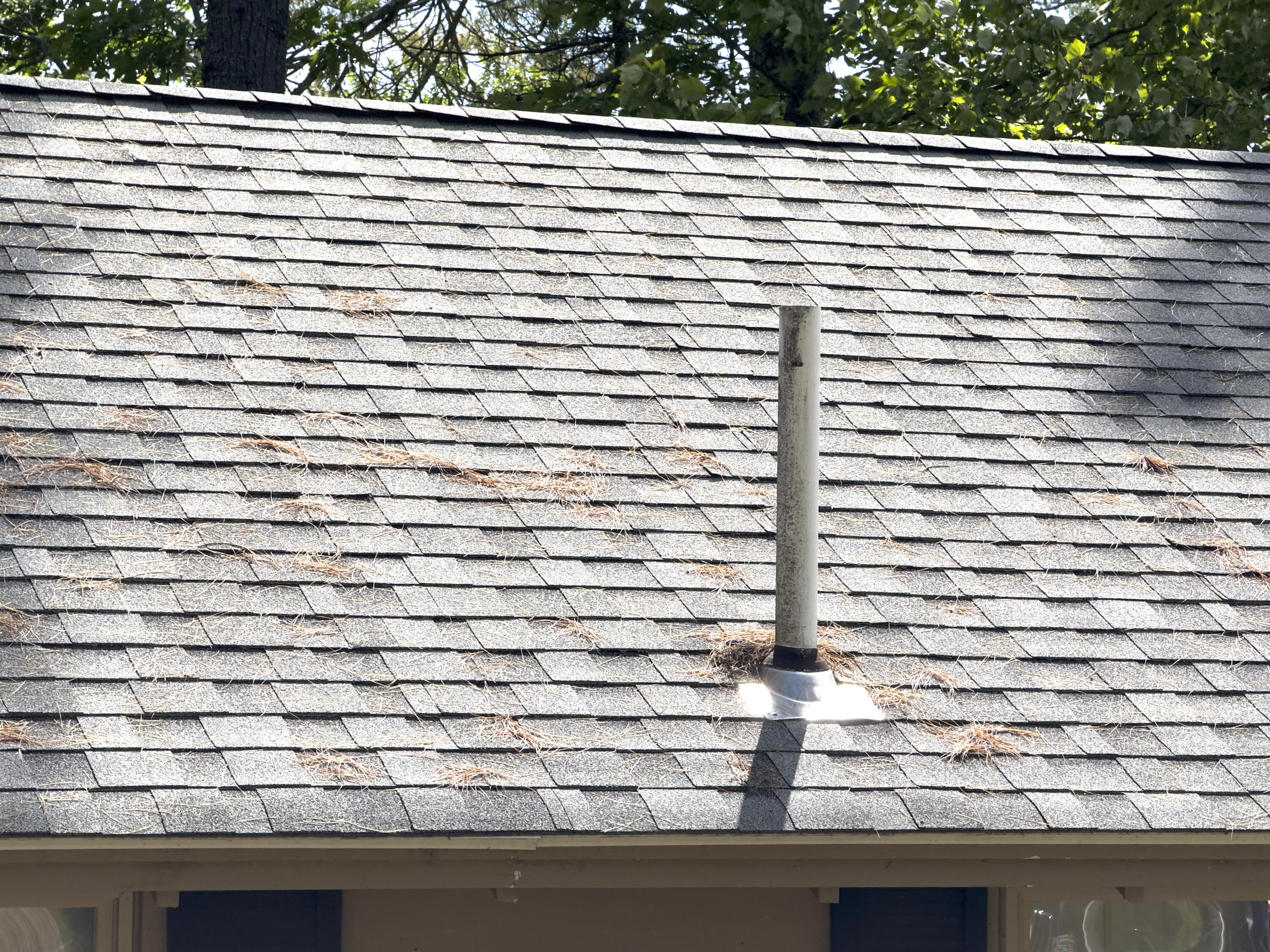 property viewer photo 34