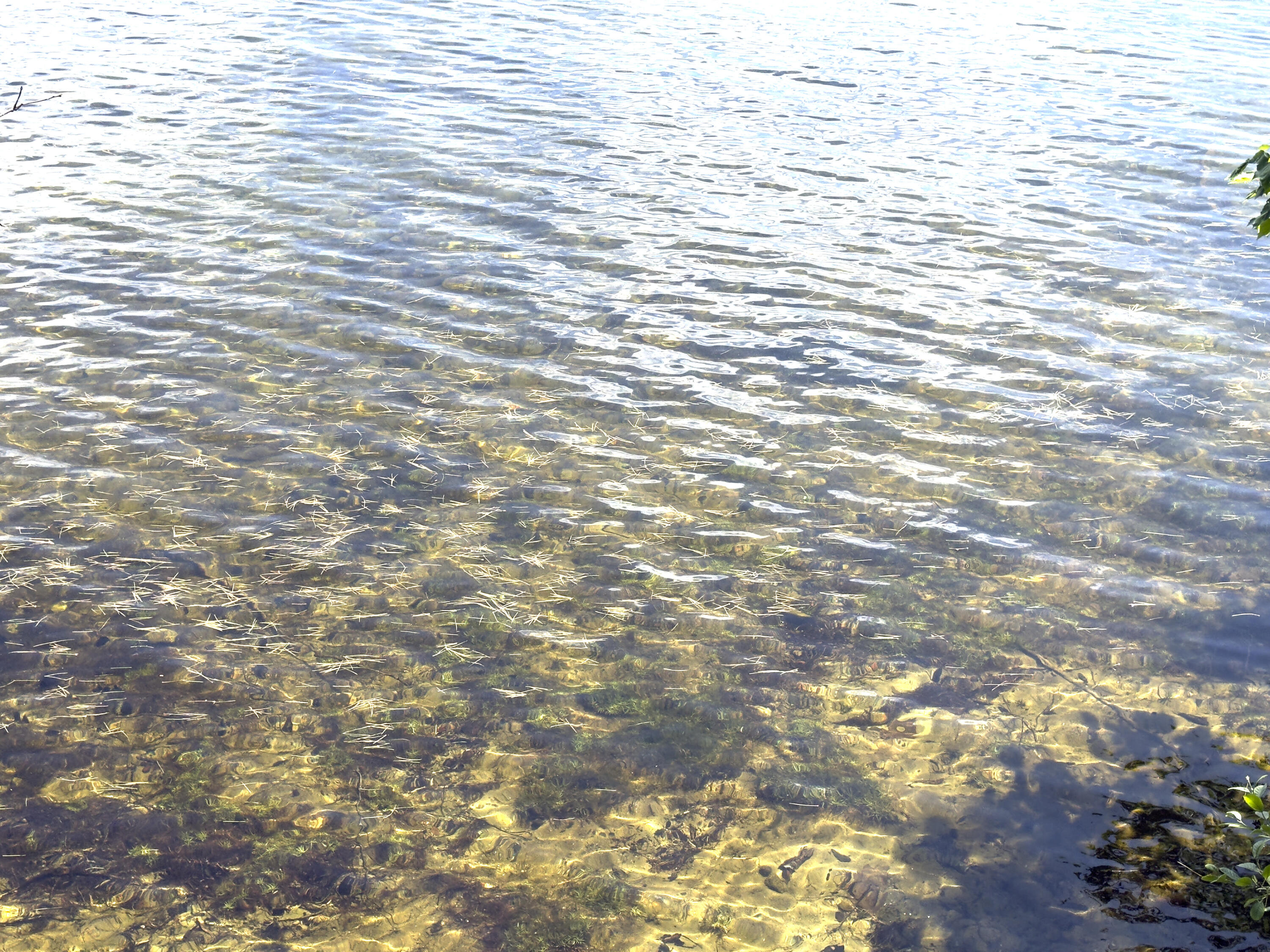 property viewer photo 38