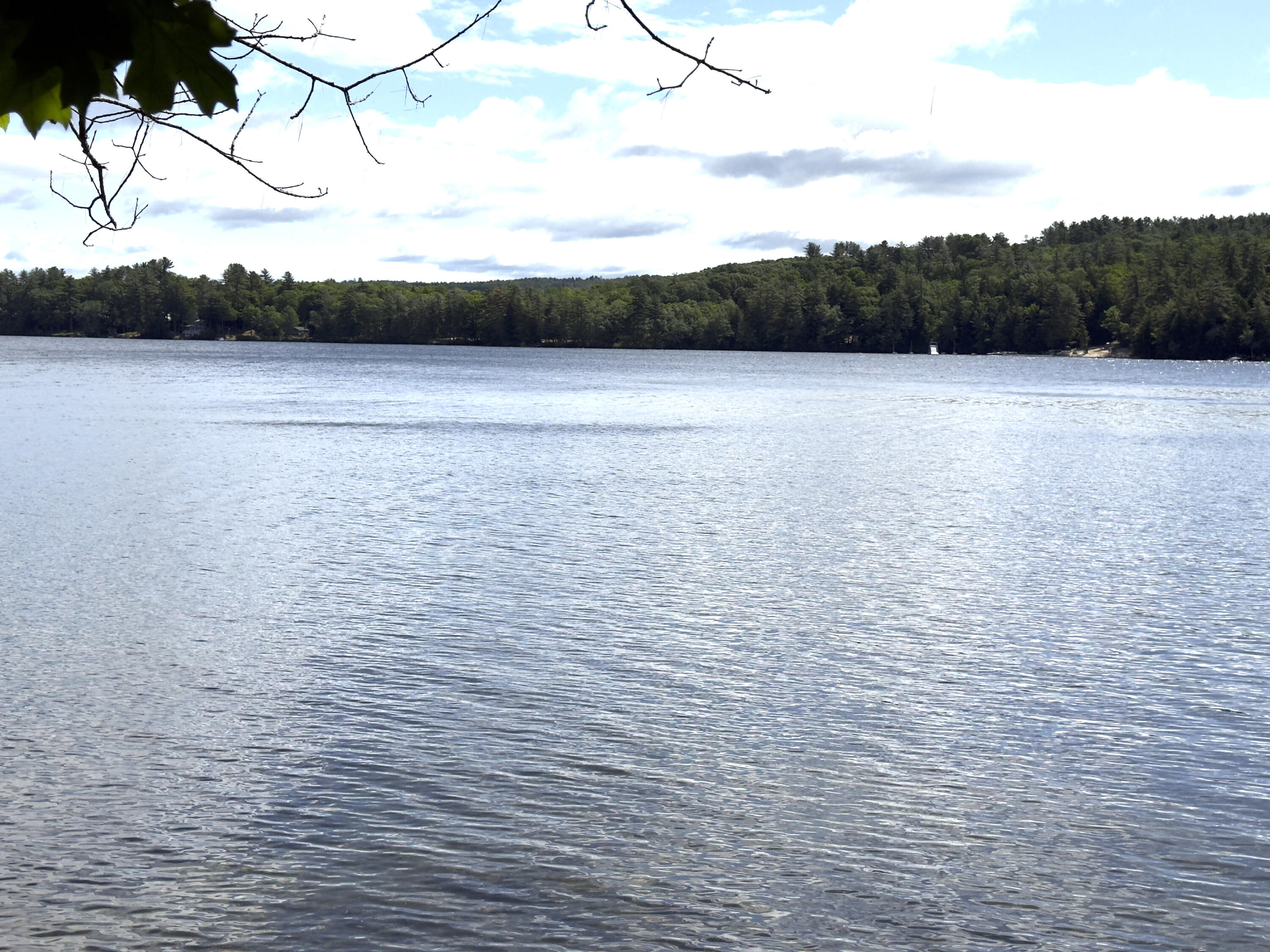 property viewer photo 39