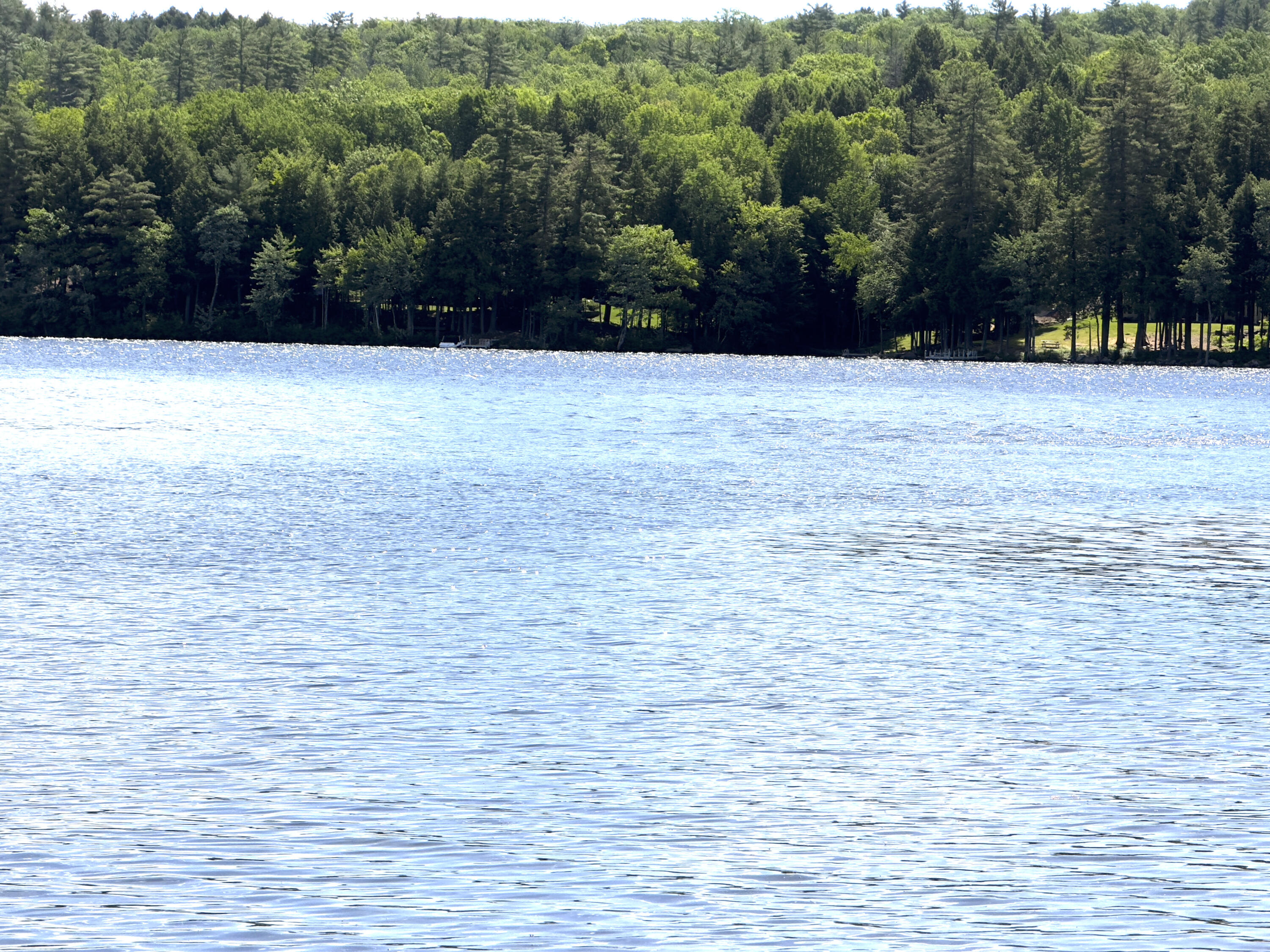 property viewer photo 40