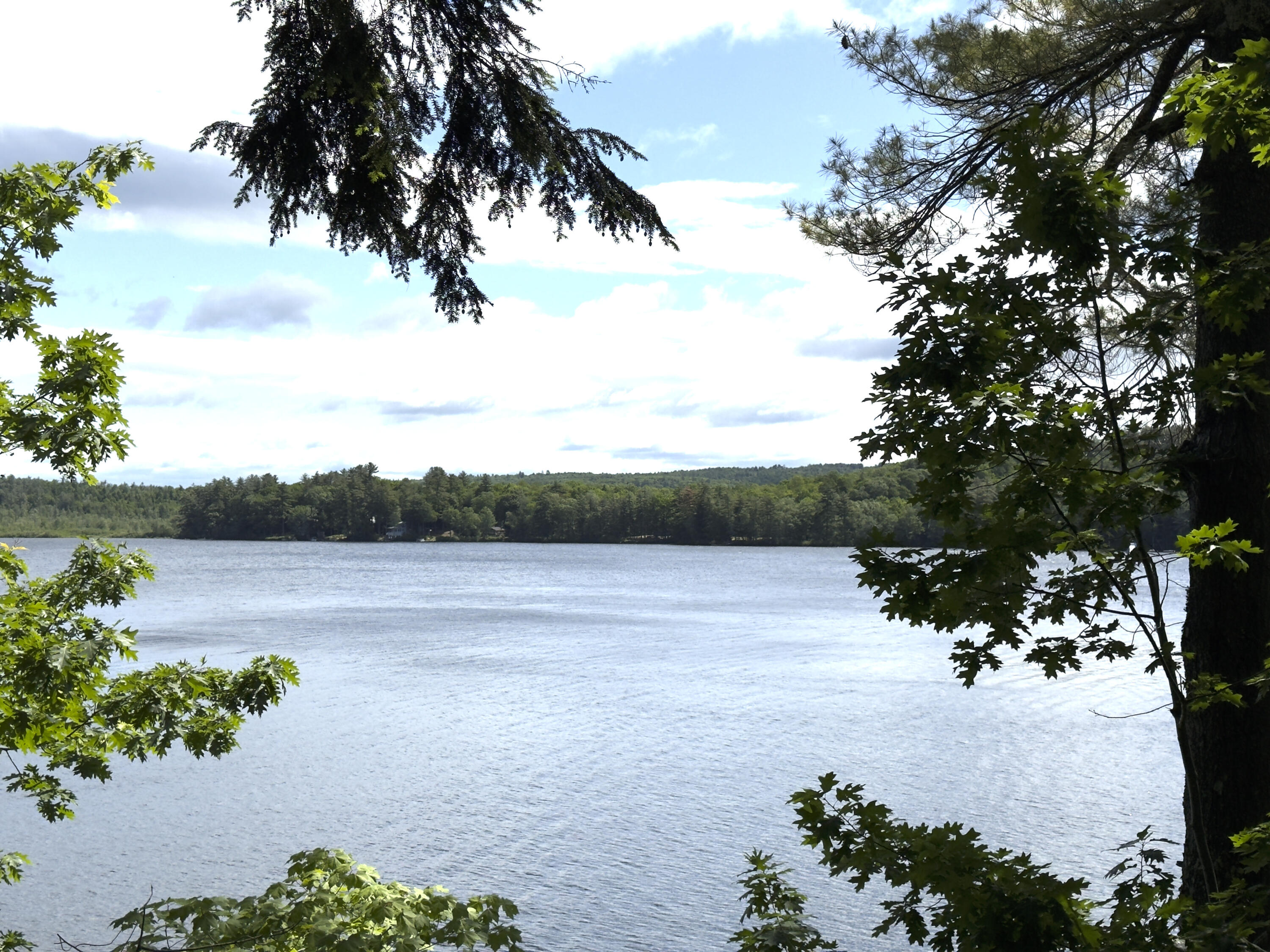 property viewer photo 41