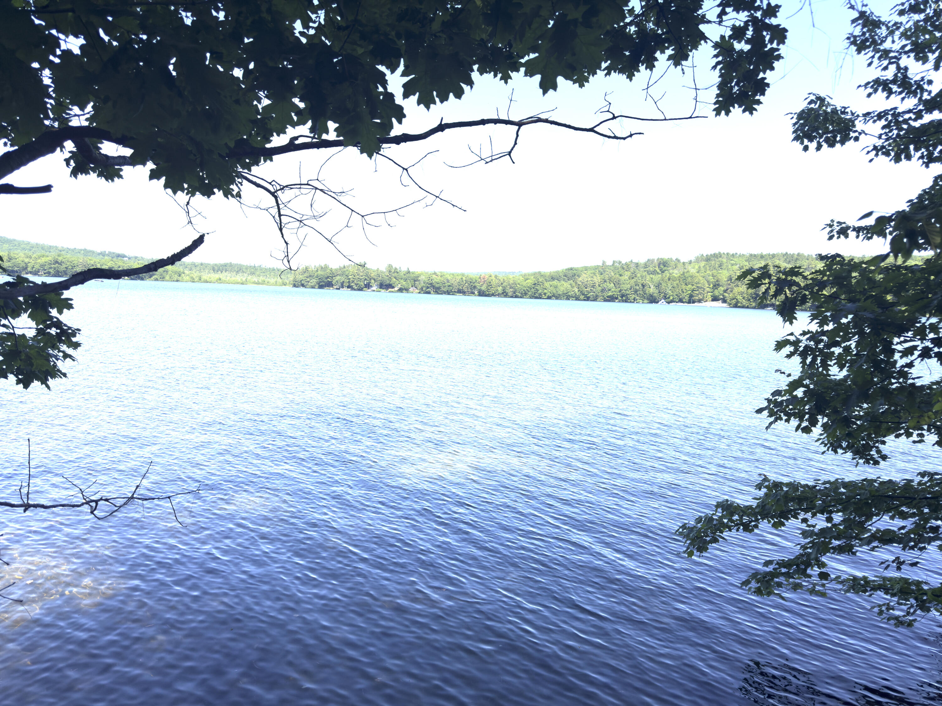 property viewer photo 42