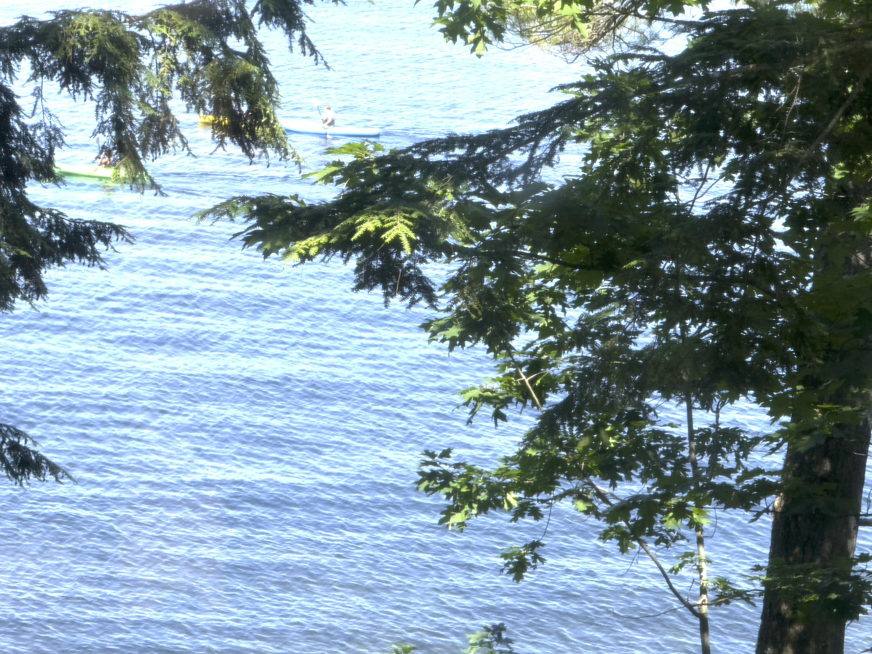 property viewer photo 43