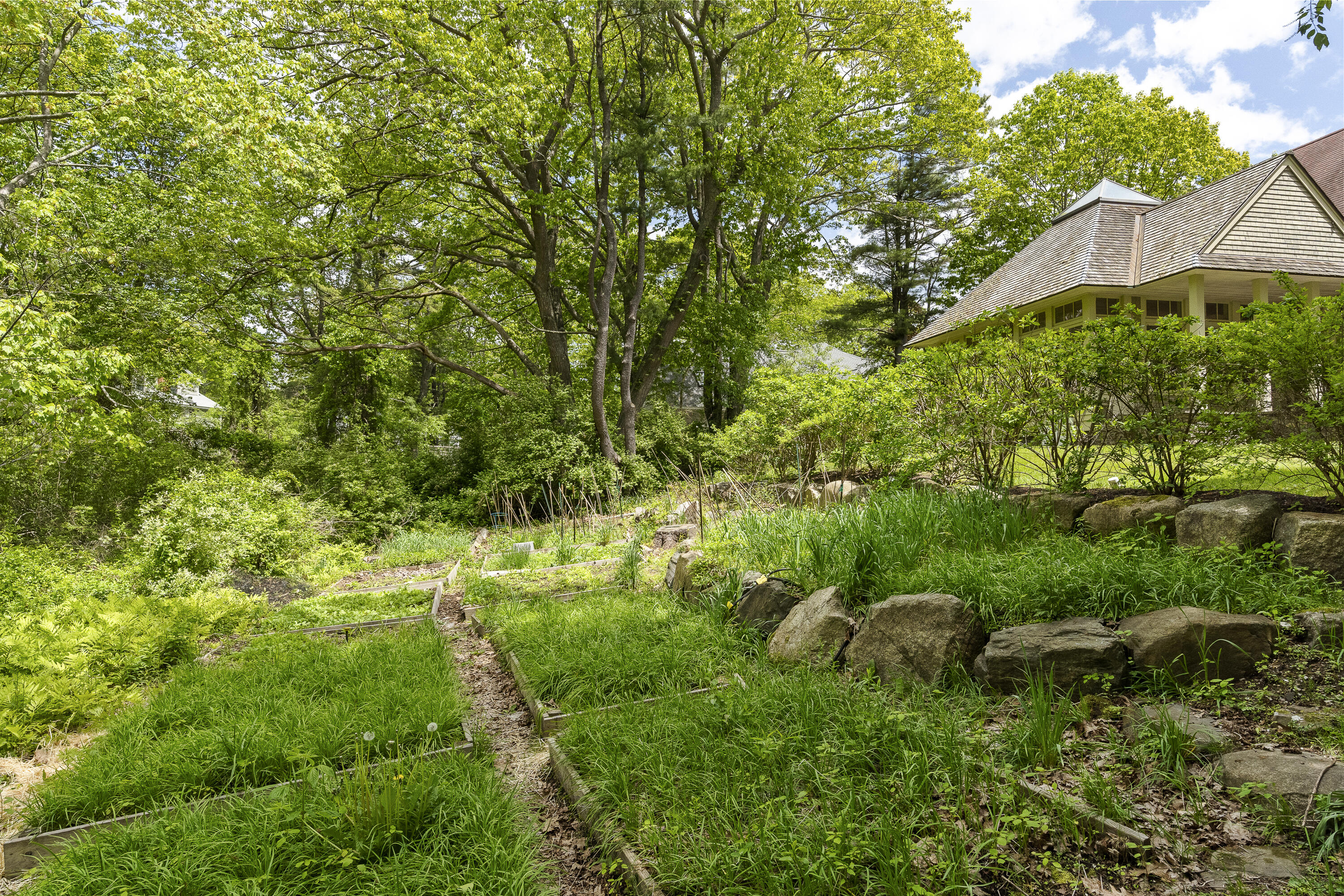 main property photo 61