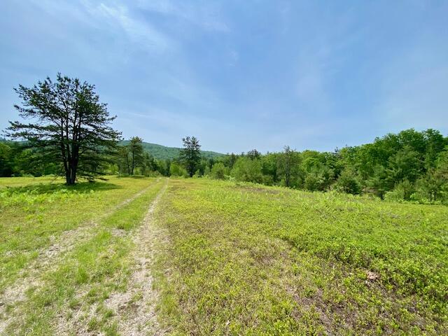 main property photo 18