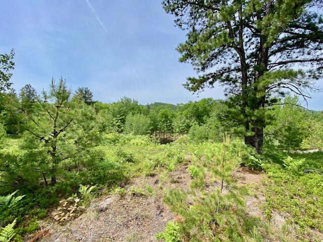 main property photo 20